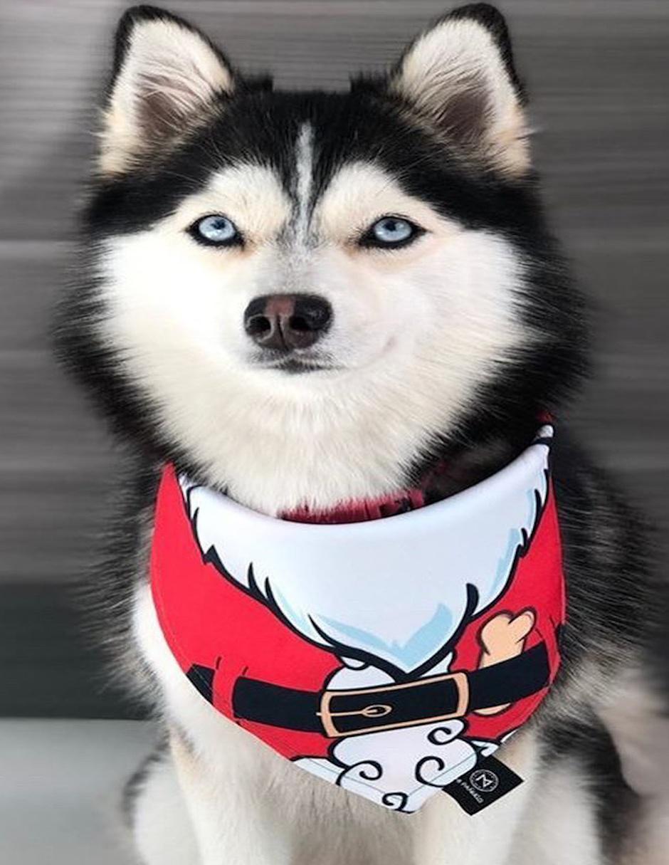 Pañuelo para mascotas Navidad doble vista Mi Pañuelo 4