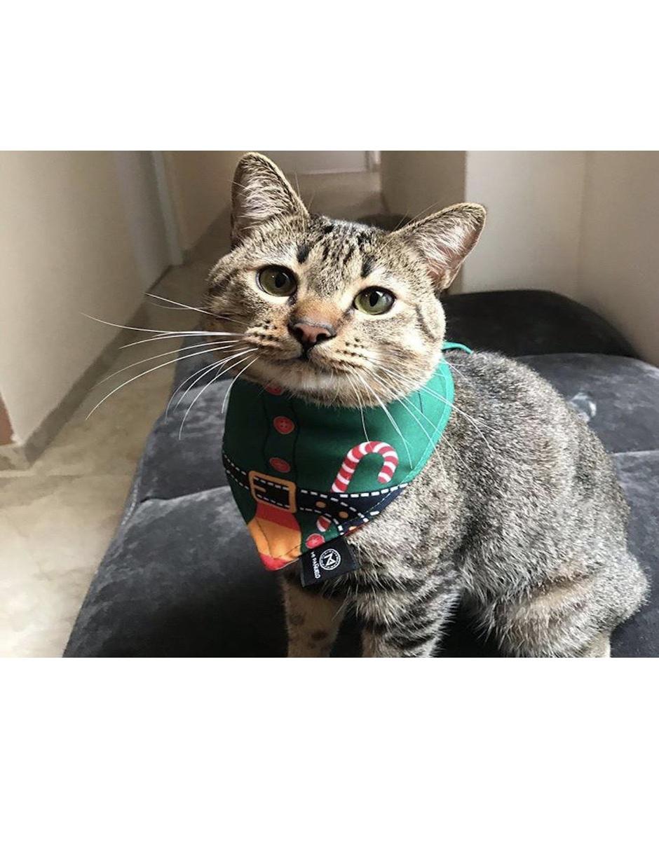 Pañuelo para mascotas Navidad doble vista Mi Pañuelo 5
