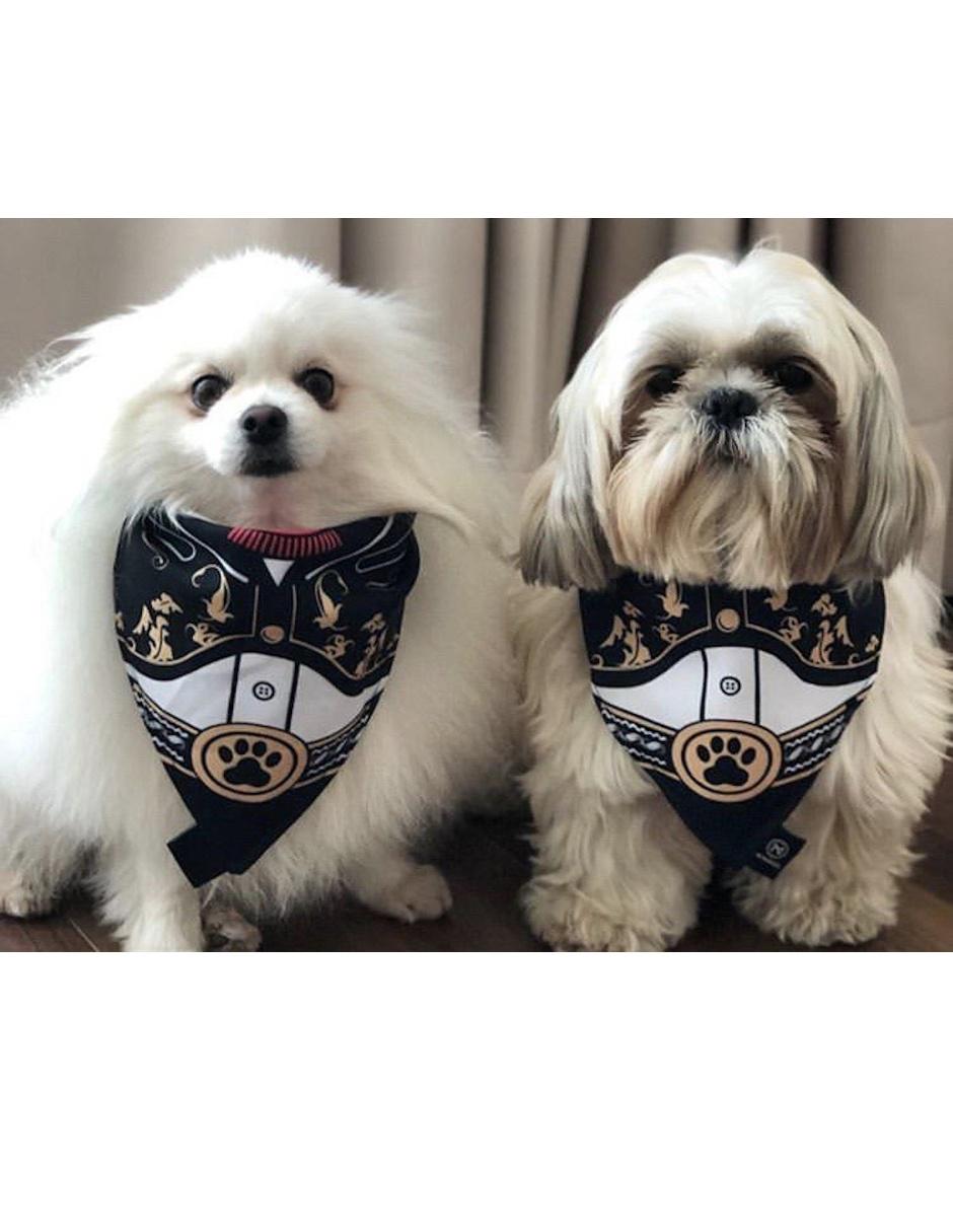 Collar de tela para perro y gato 6