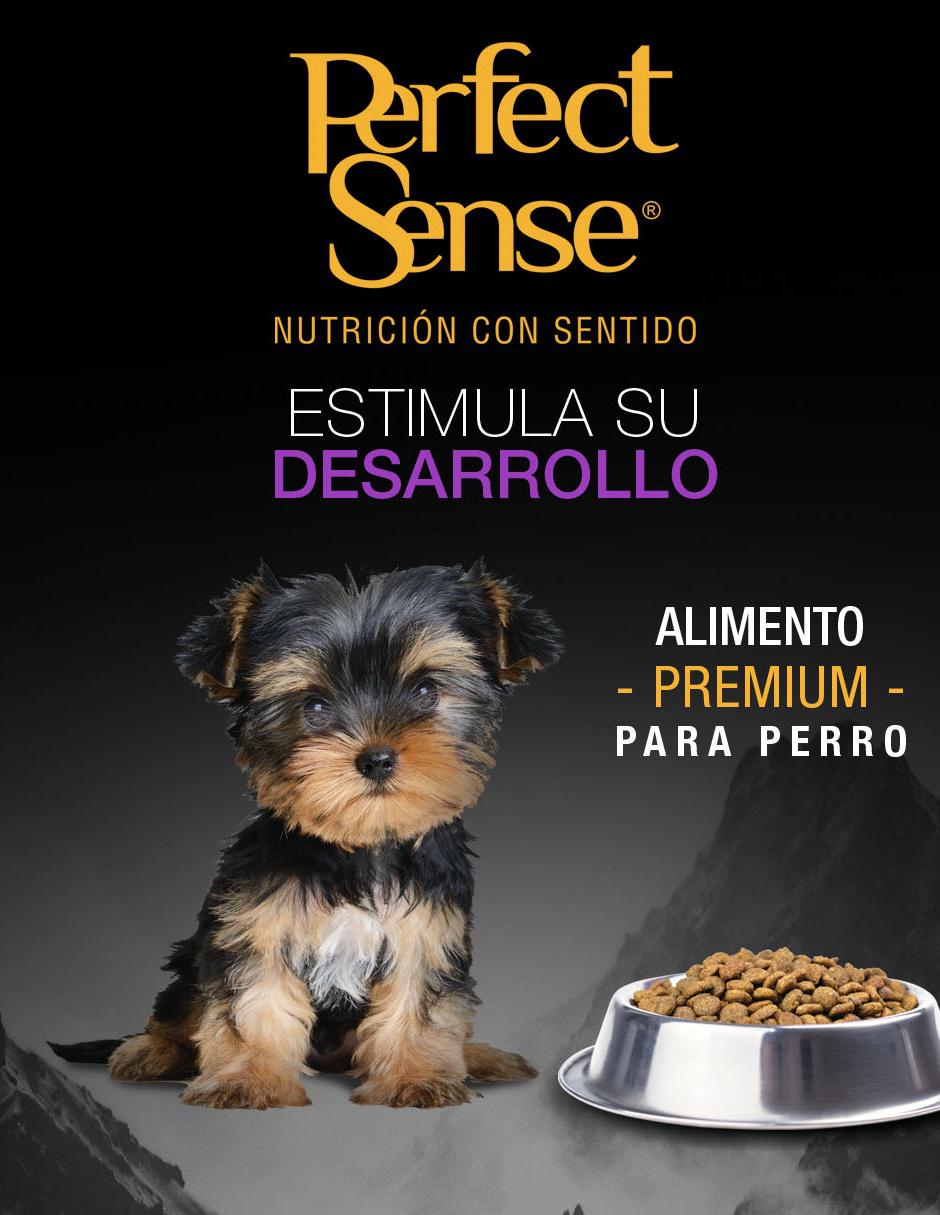 Croqueta de Pollo para perro etapa cachorro 2