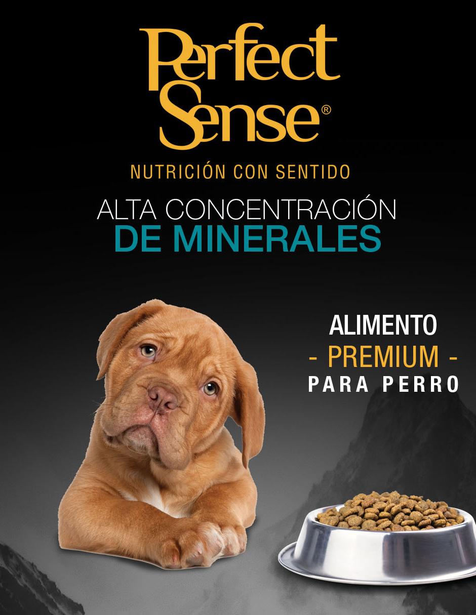 Croqueta de Pollo para perro etapa cachorro 2