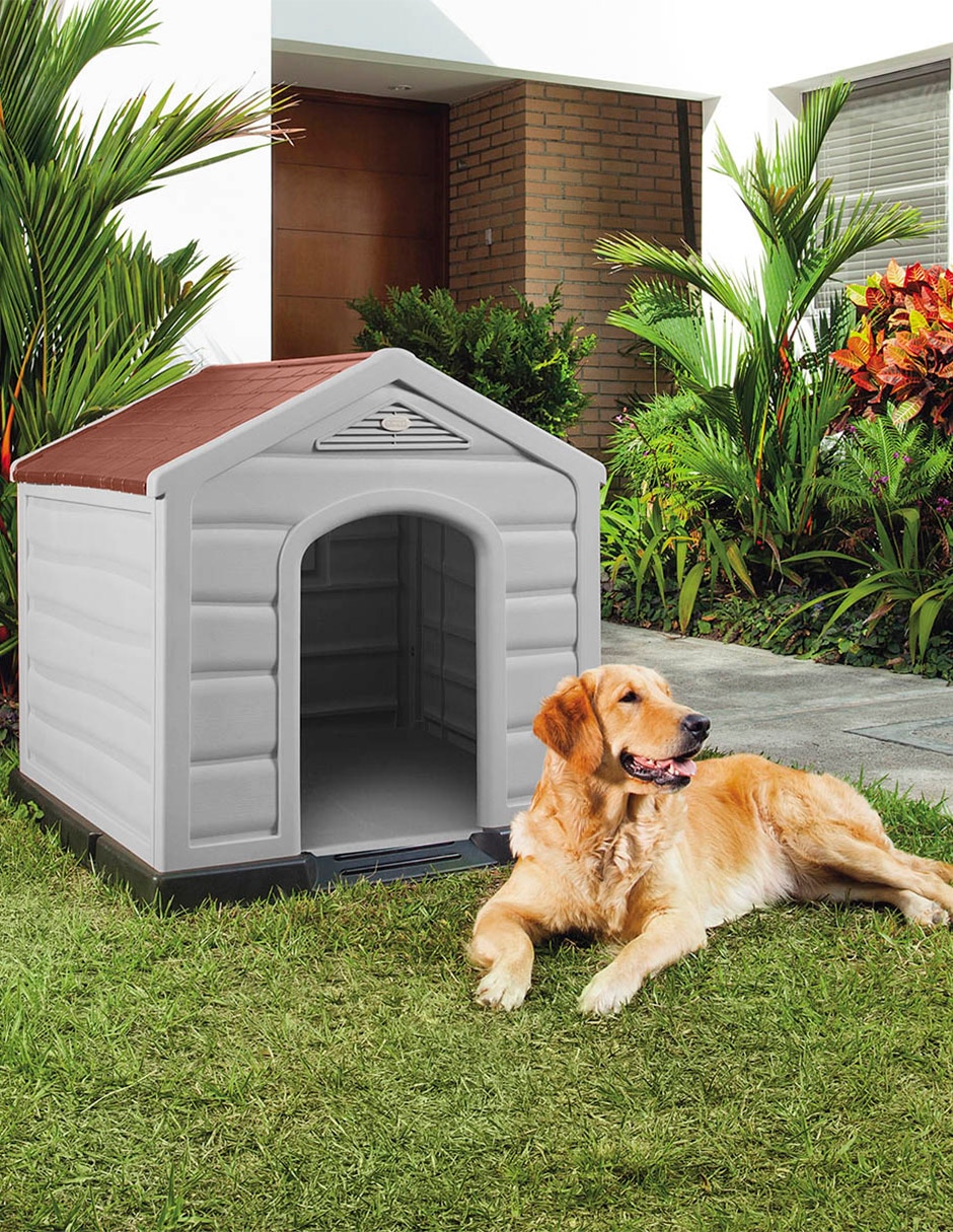 Casa para perro
