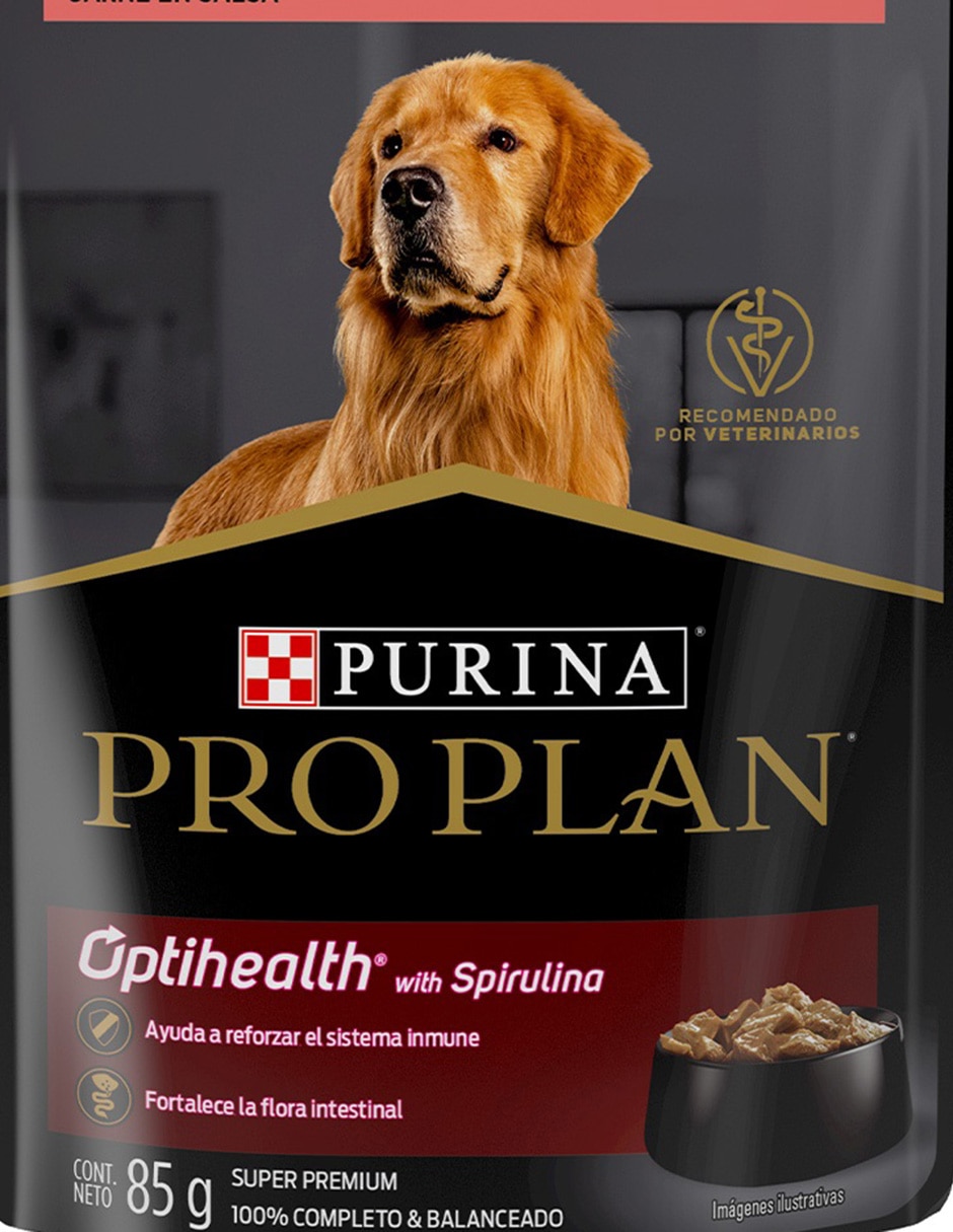 Alimento húmedo de Carne para perro etapa adulto contenido 85 g 2