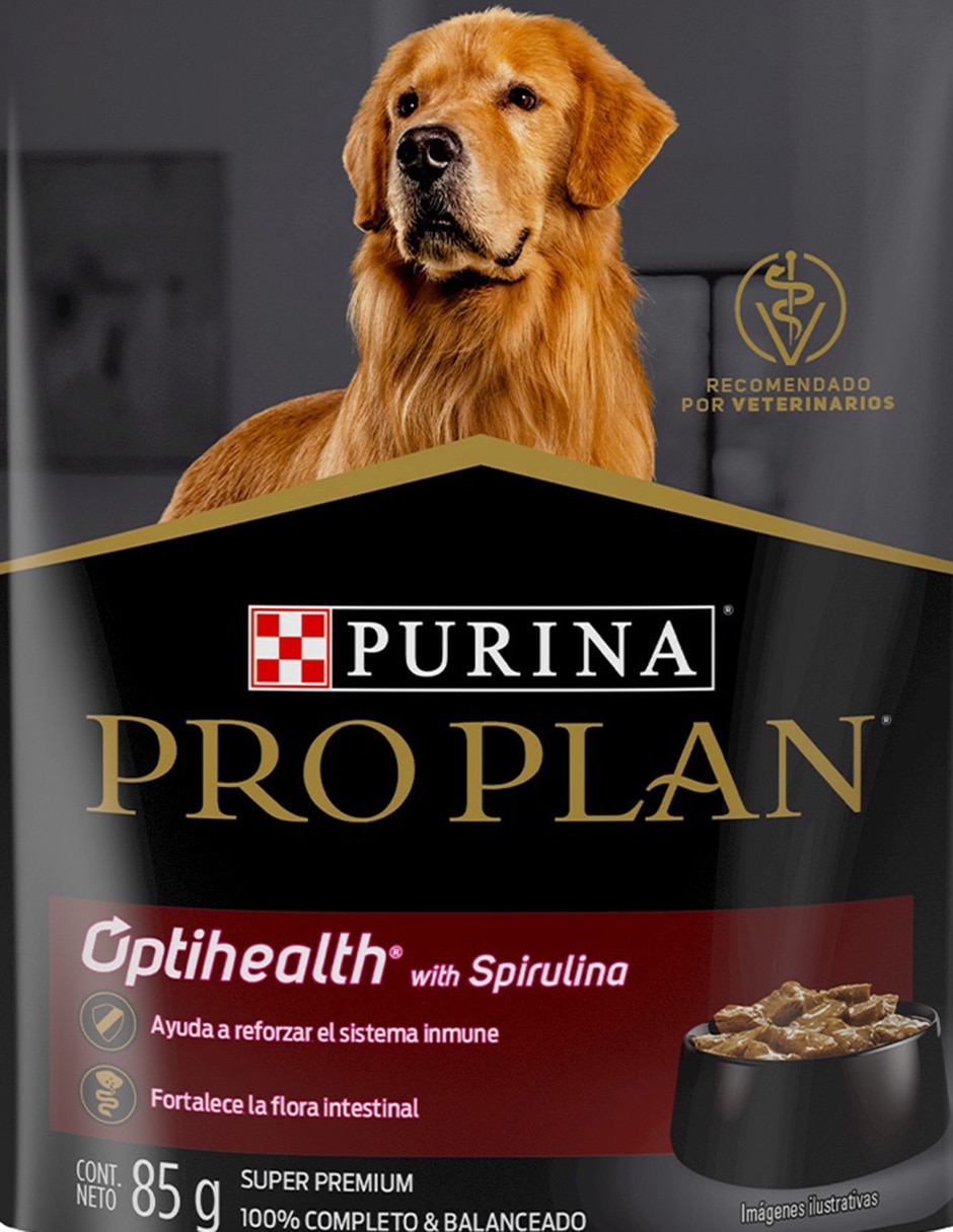 Alimento húmedo de Pollo para perro etapa adulto contenido 85 g 2