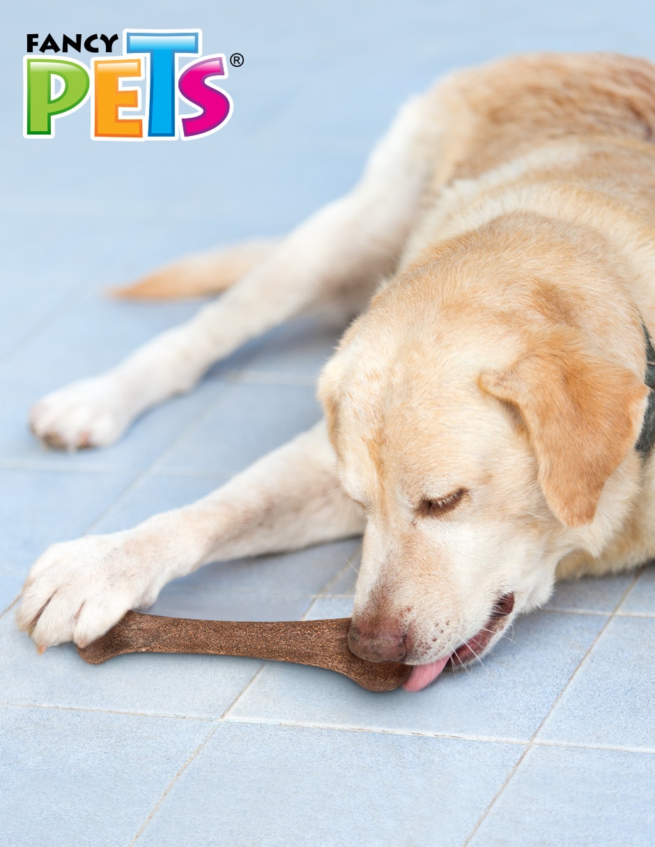 Juguete para perro 2