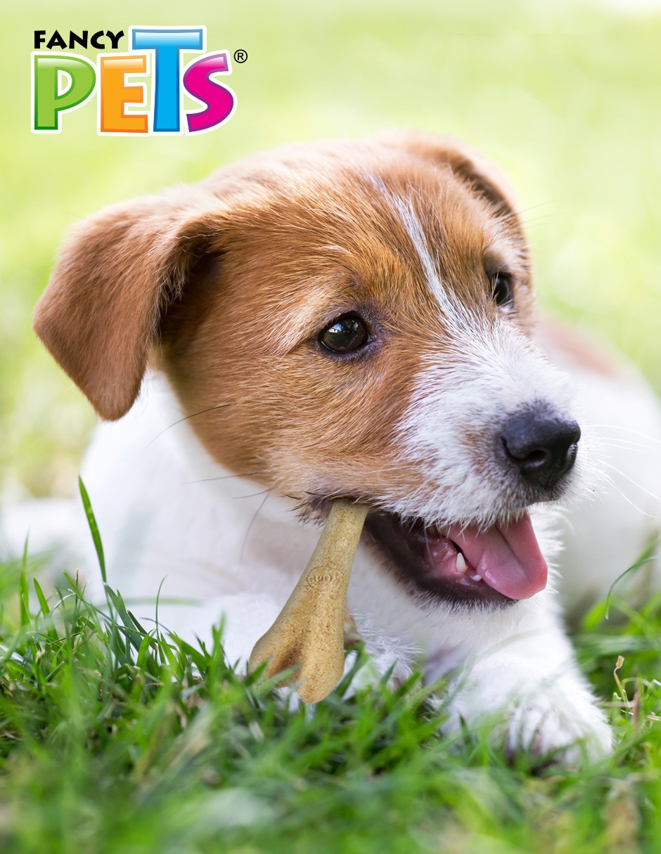 Juguete para perro 3
