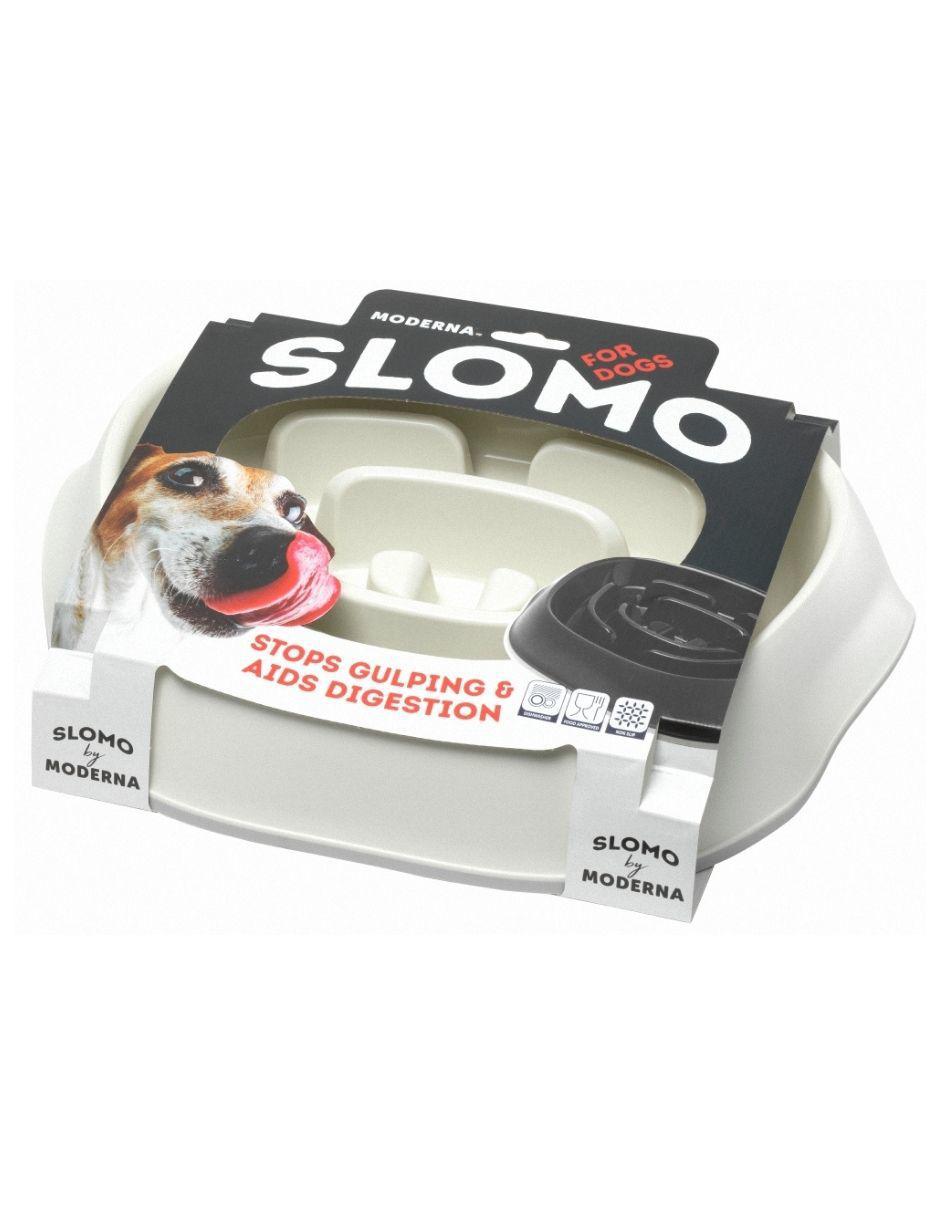 Plato Slomo para Perro 2
