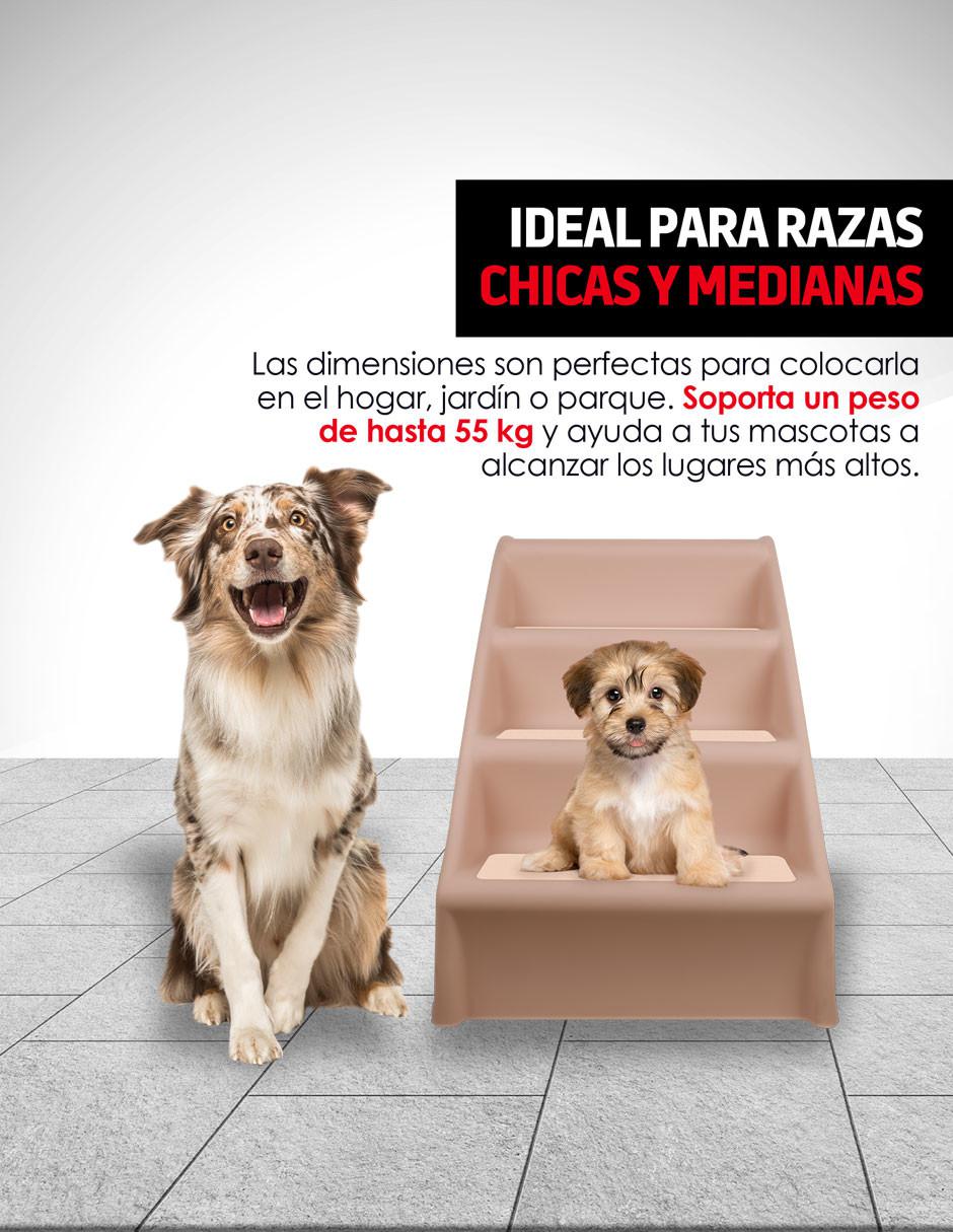 Escalera para mascota 4