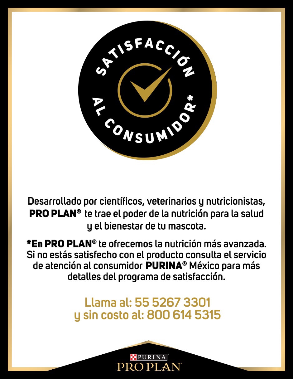 Croqueta de pollo para perro raza pequeña etapa adulto contenido individual 7.5 kg 3