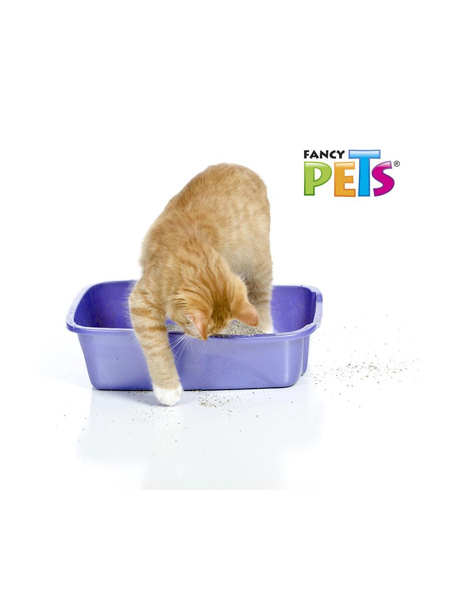 Garrafa de arena para gato 2