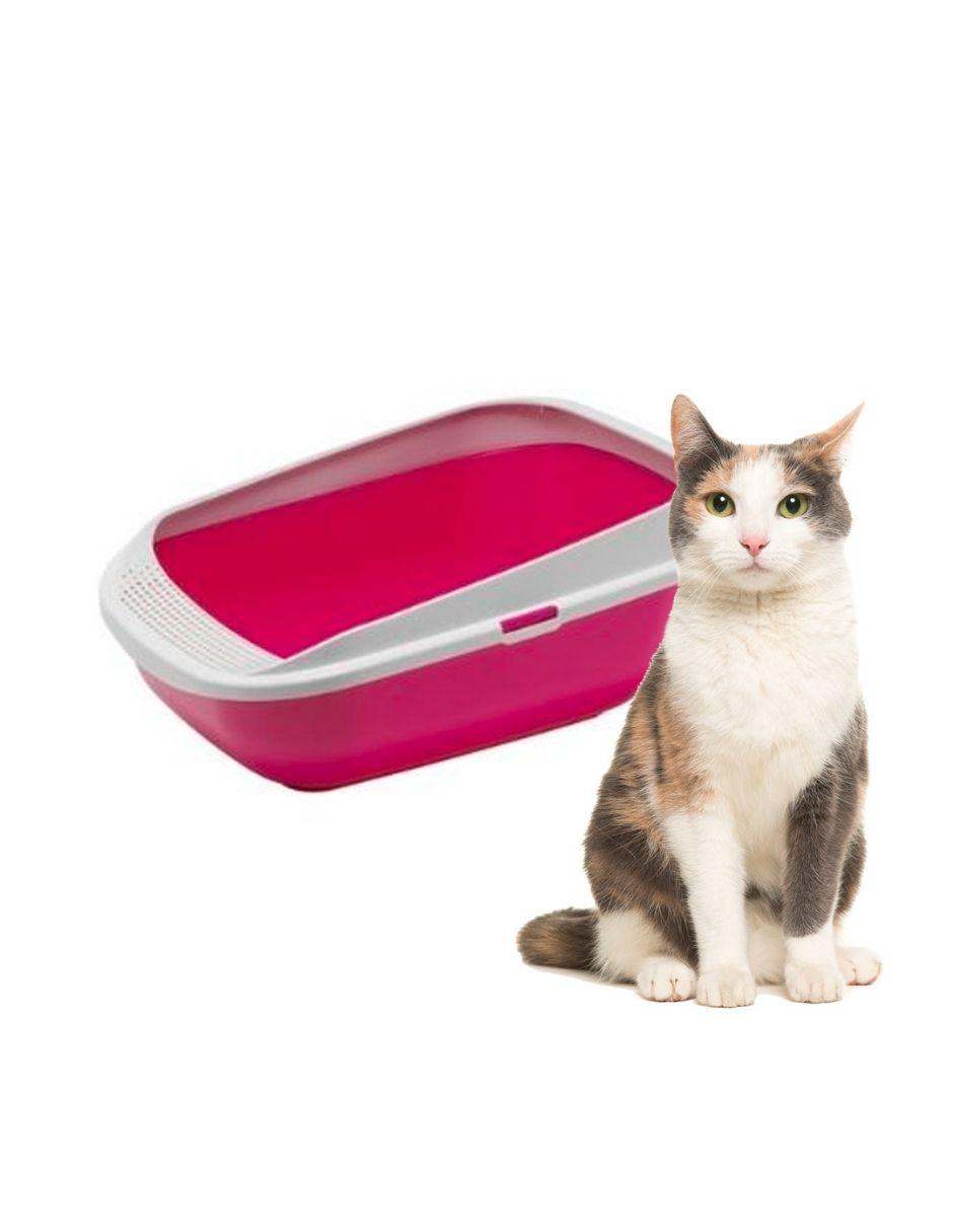 Arenero Comfy Step para gato 3