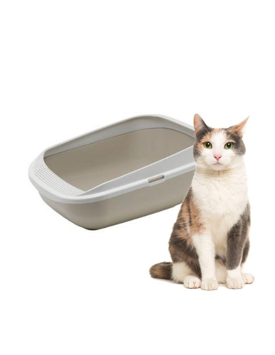 Arenero Comfy Step para gato 3