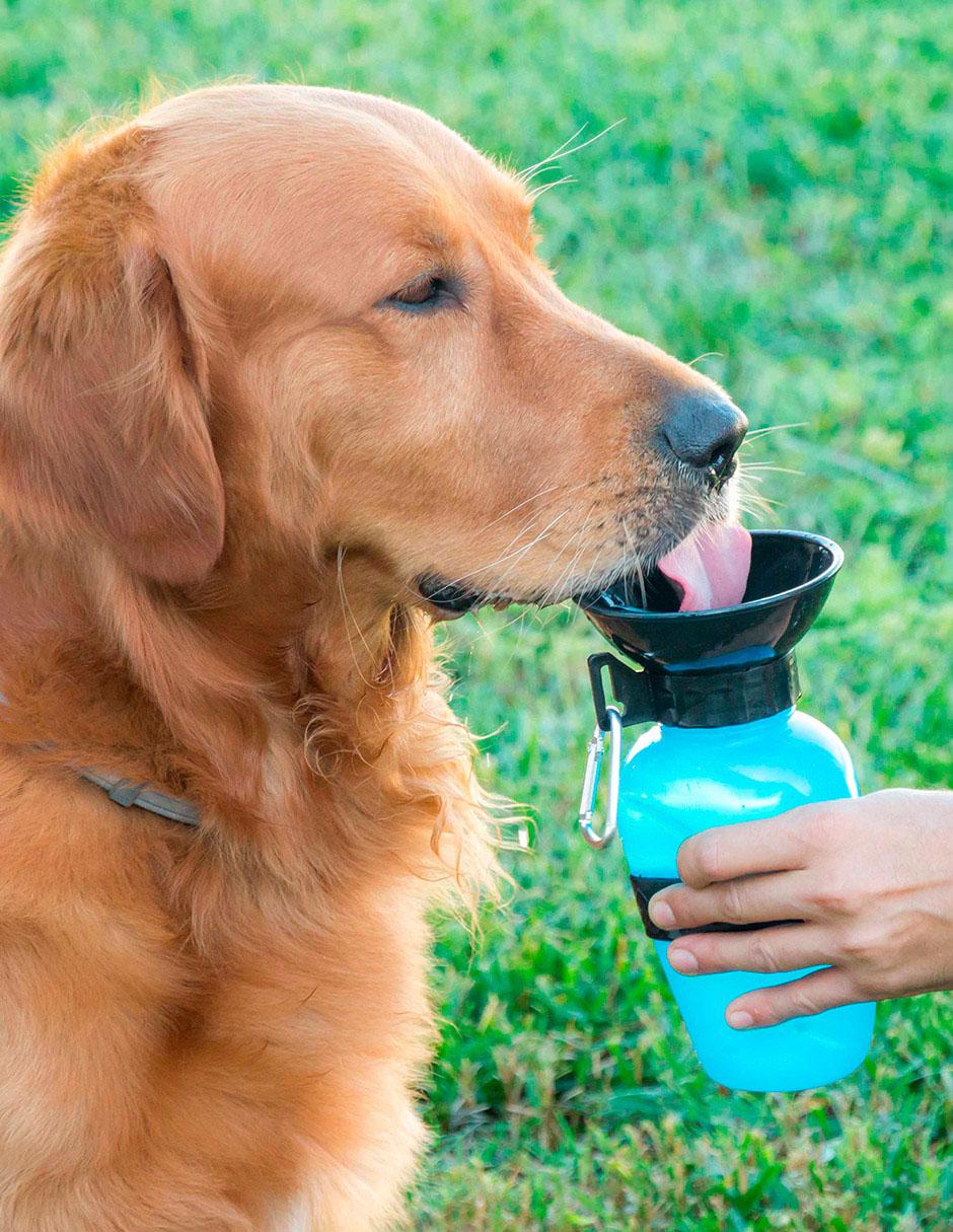 Botella bebedero de agua para perros 5