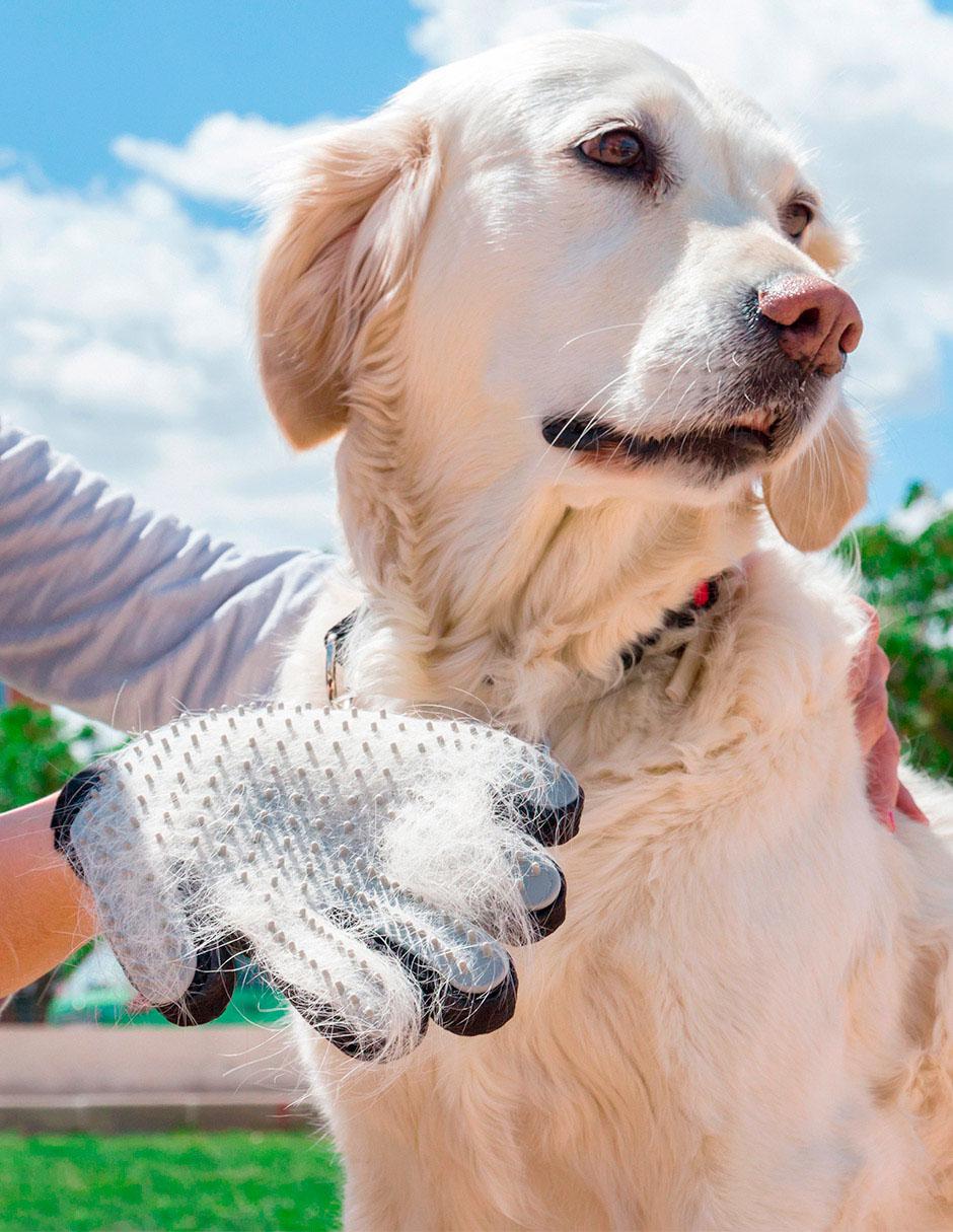 Guante para cepillar y masajear para perro y gato 2