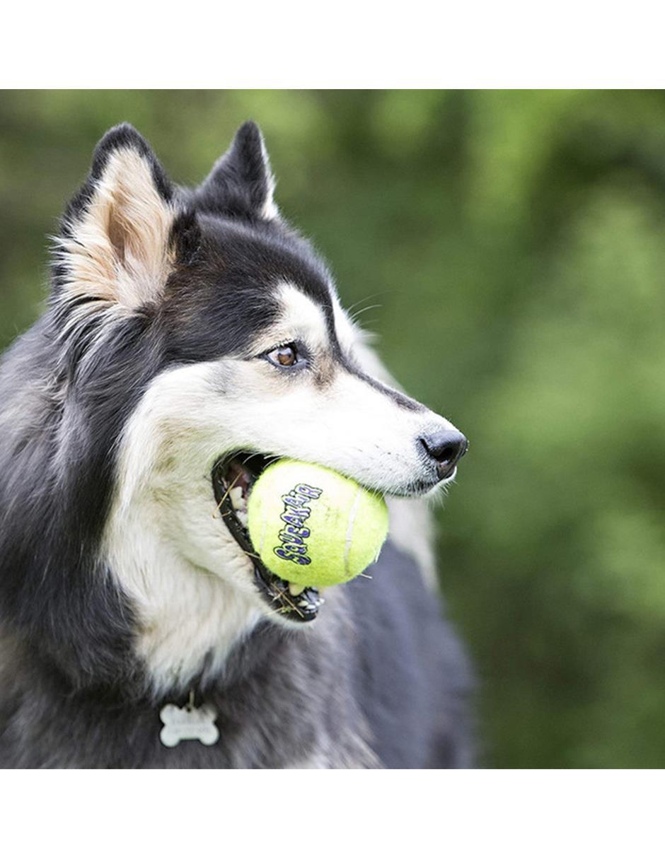 Juguete de pelotas para perros 2