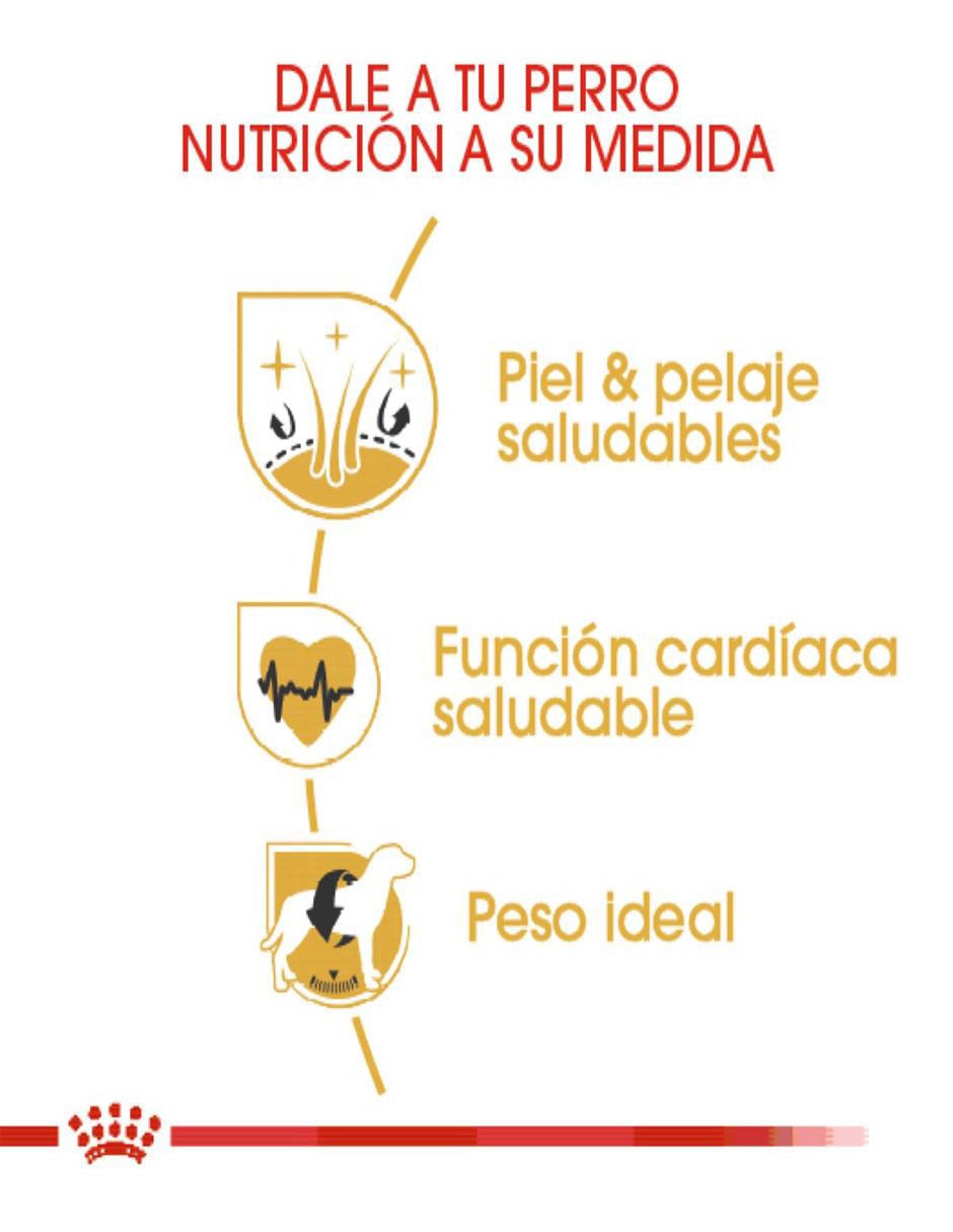 Croqueta de Pollo para perro etapa adulto contenido 13.6 kg 5
