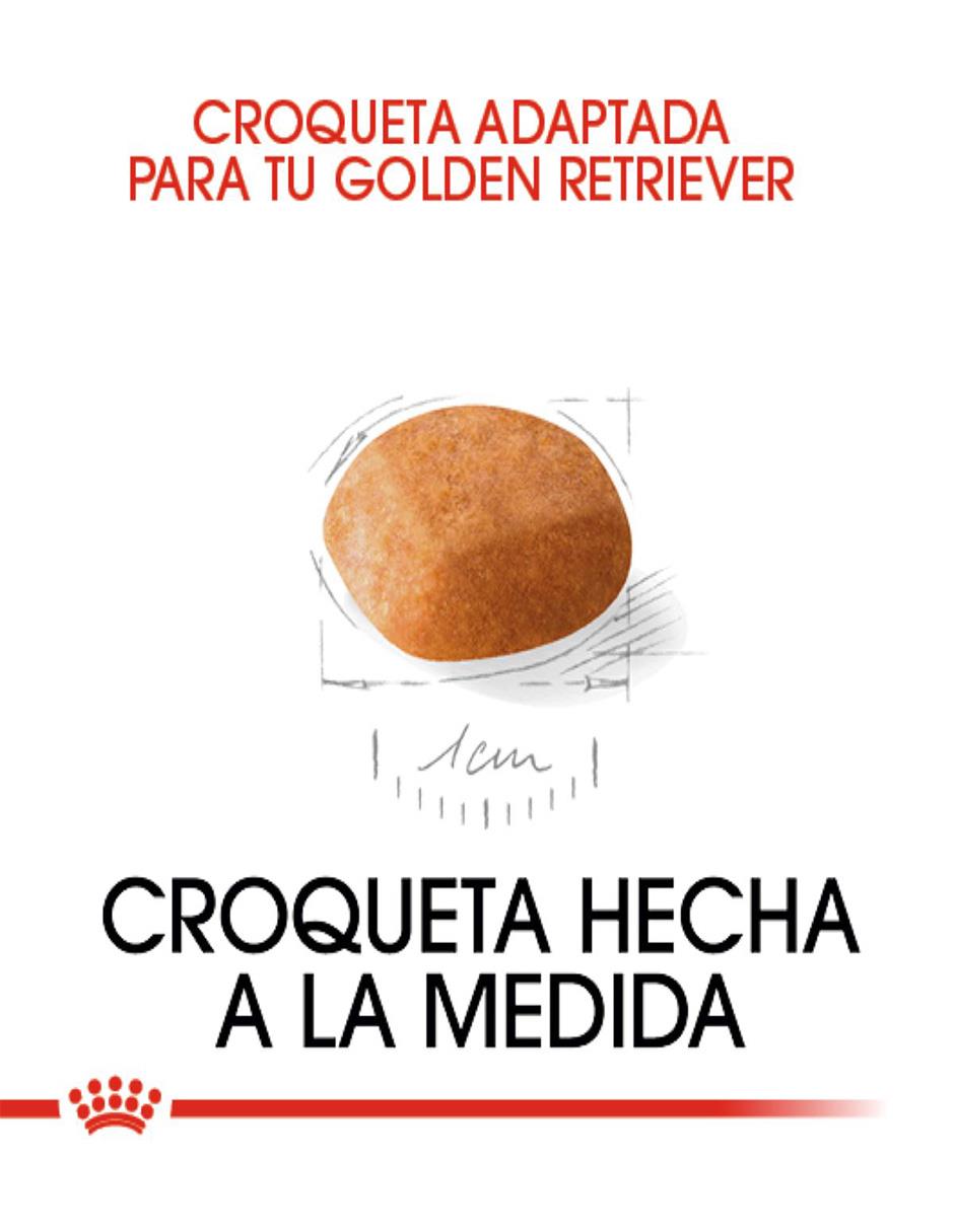 Croqueta de Pollo para perro etapa cachorro contenido 13.6 kg 2