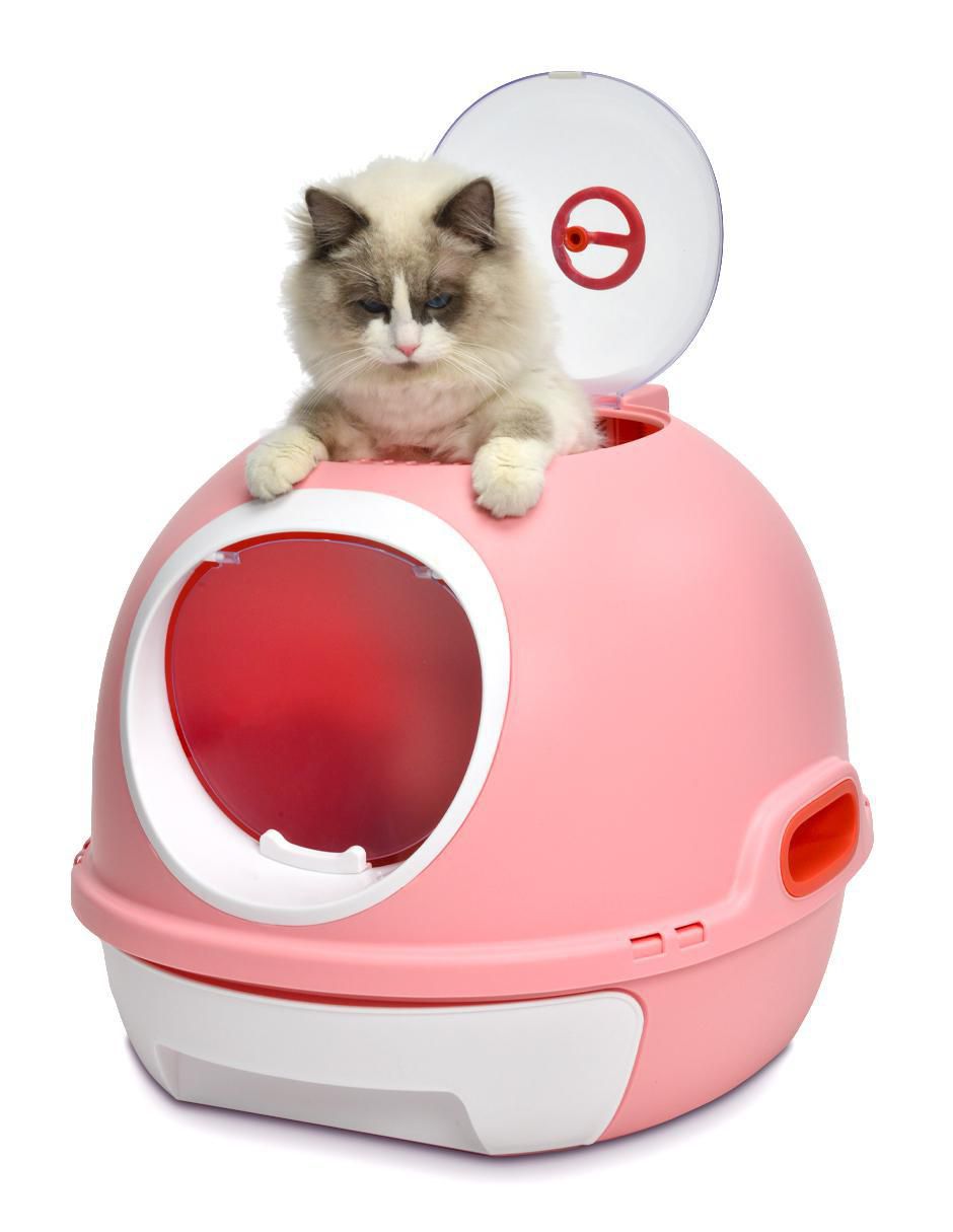 Arenero para gato Arenero para gato