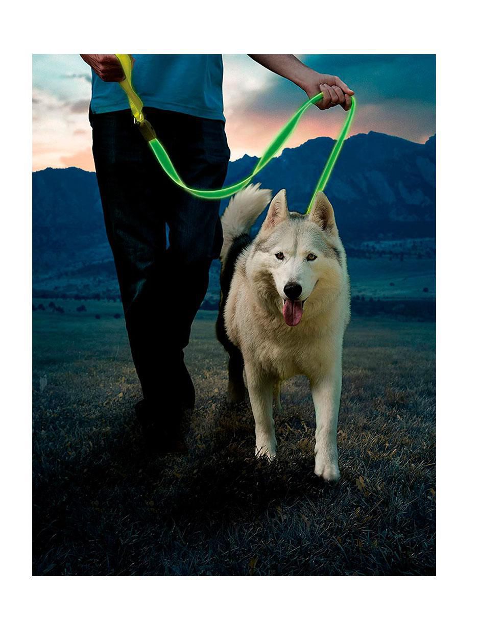 Correa eléctrica para perro 5