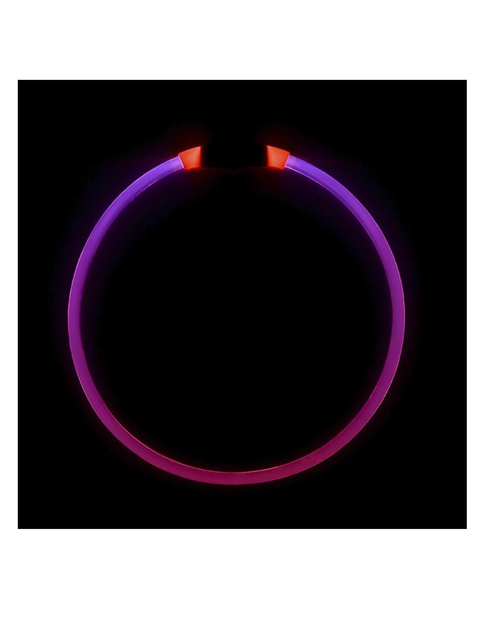 Collar con luz para perro 2