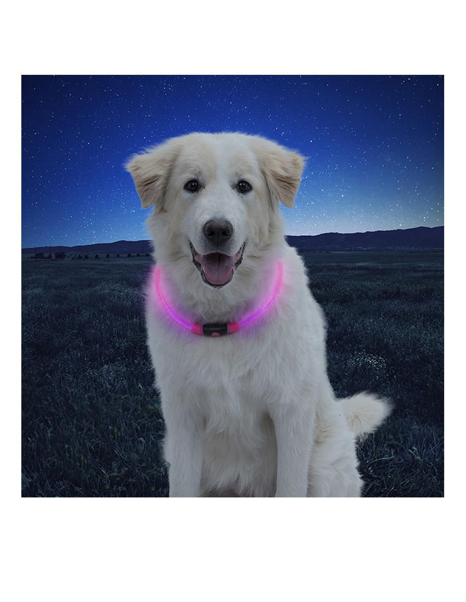 Collar con luz para perro 3