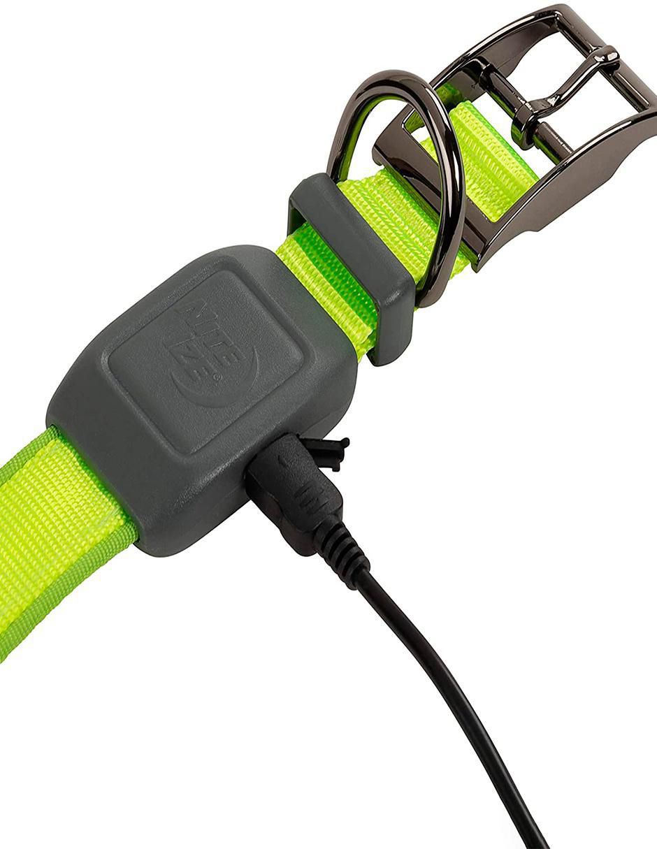 Collar Nite Ize con luz para perro