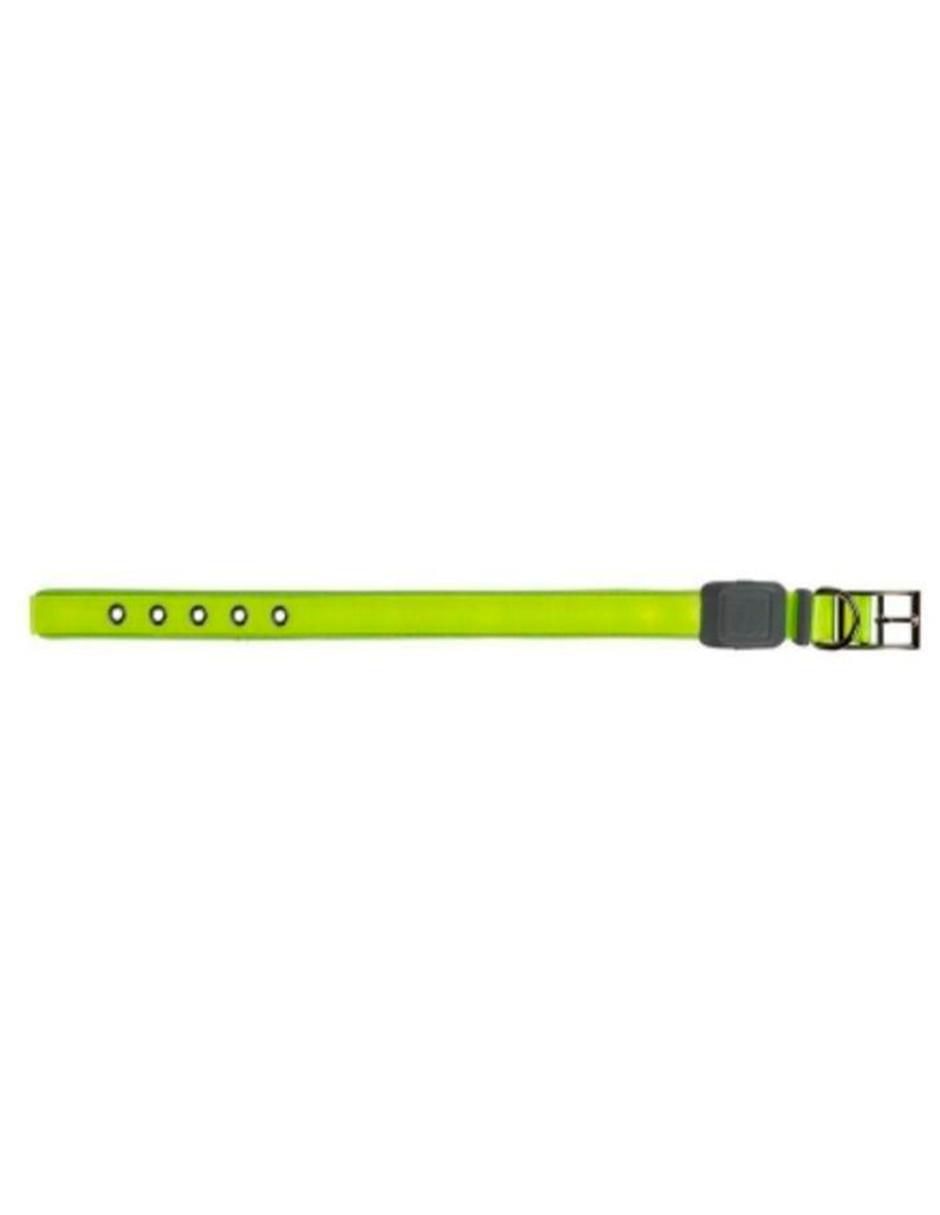 Collar Nite Ize con luz para perro