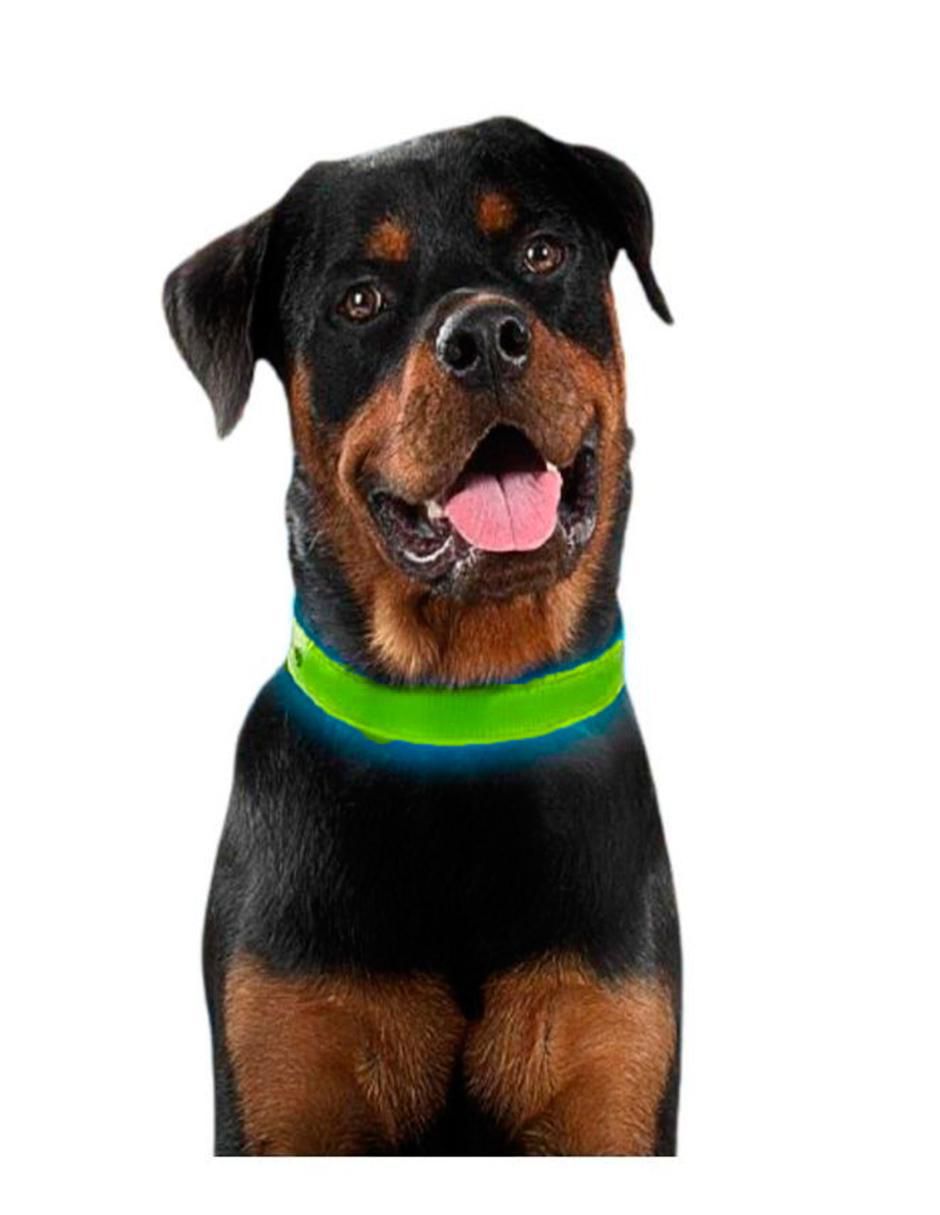Collar Nite Ize con luz para perro