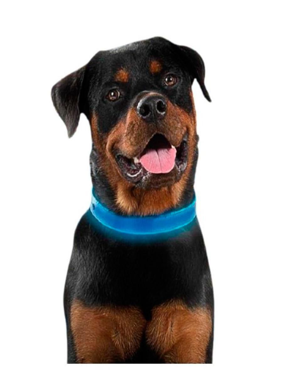 Collar Nite Ize con luz para perro