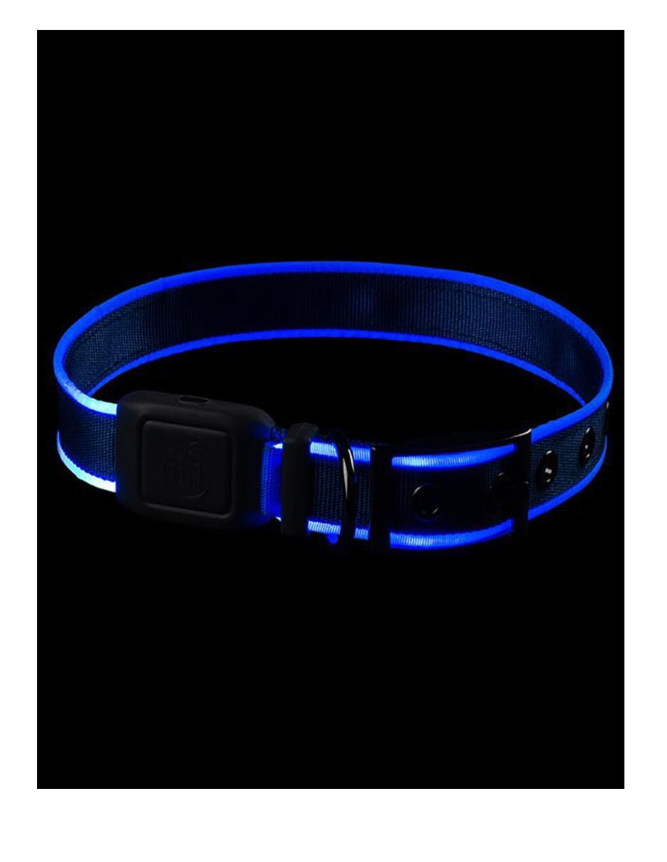 Collar con luz para perro 3