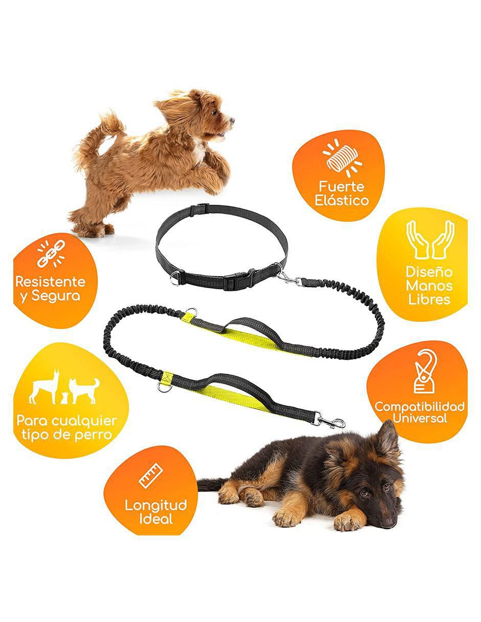 Correa de nylon de paseo para perro 4