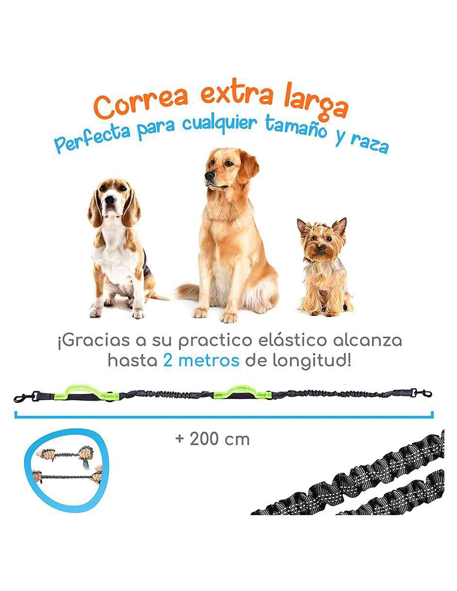Correa de nylon de paseo para perro 5