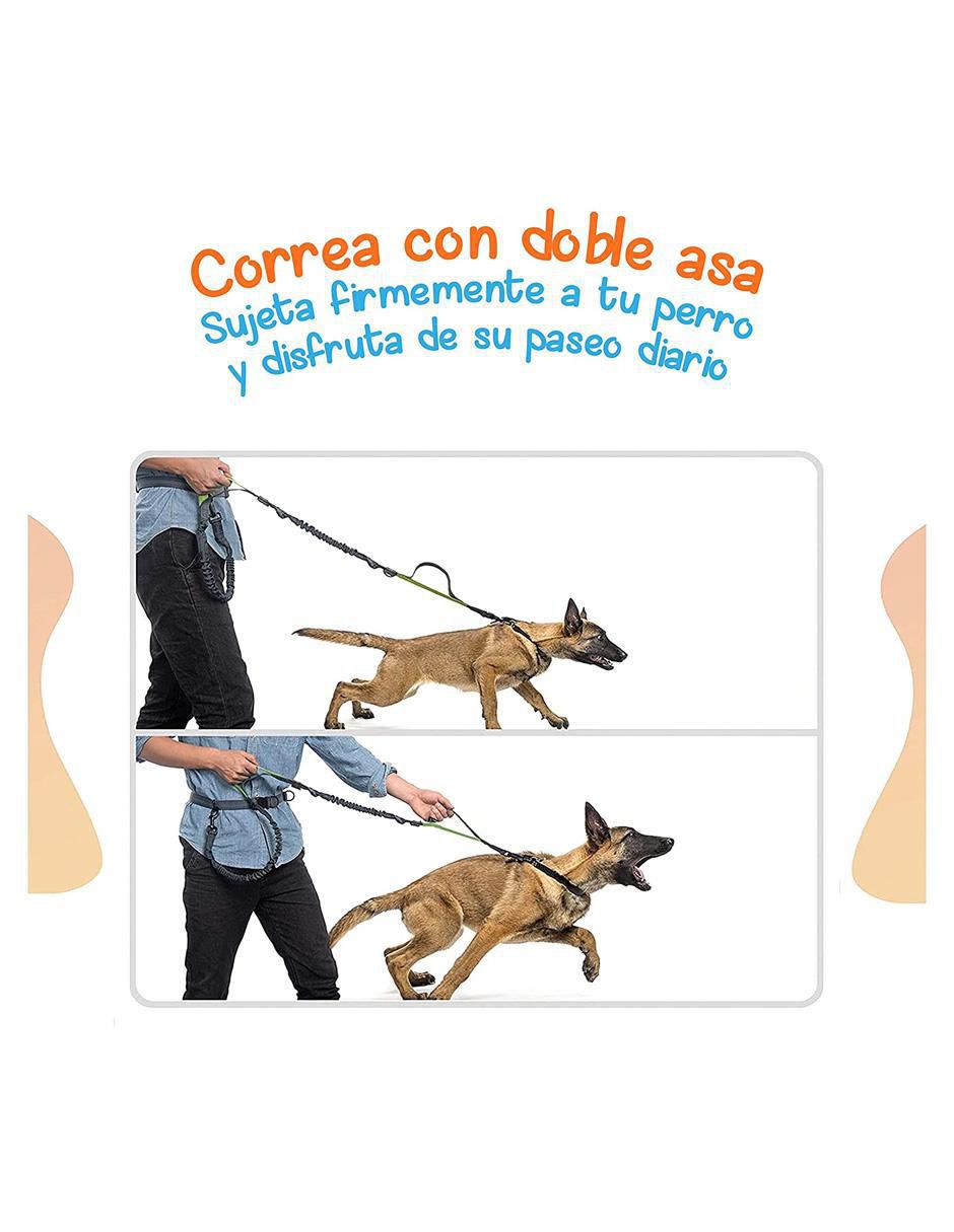 Correa de nylon de paseo para perro 7