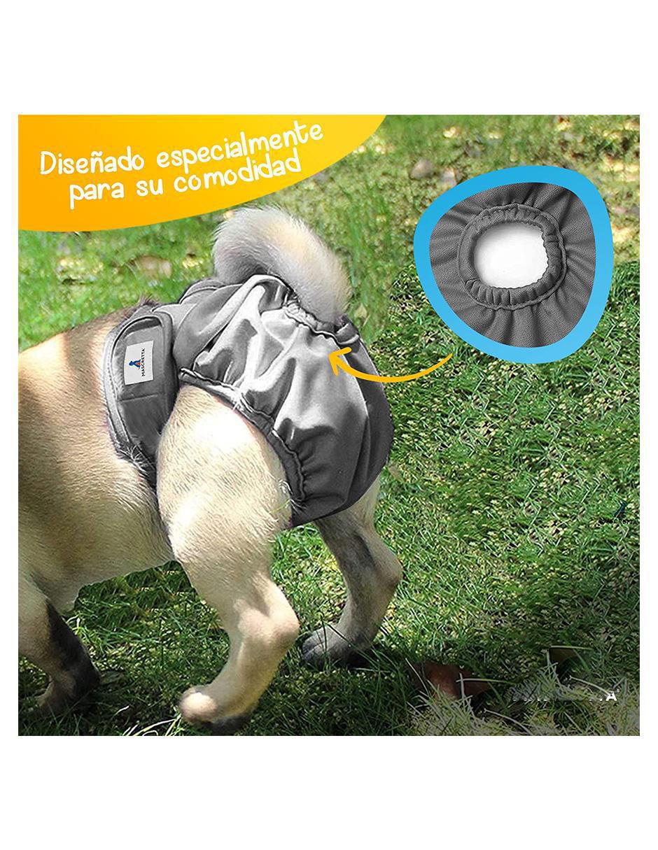 Pañal para perro 3