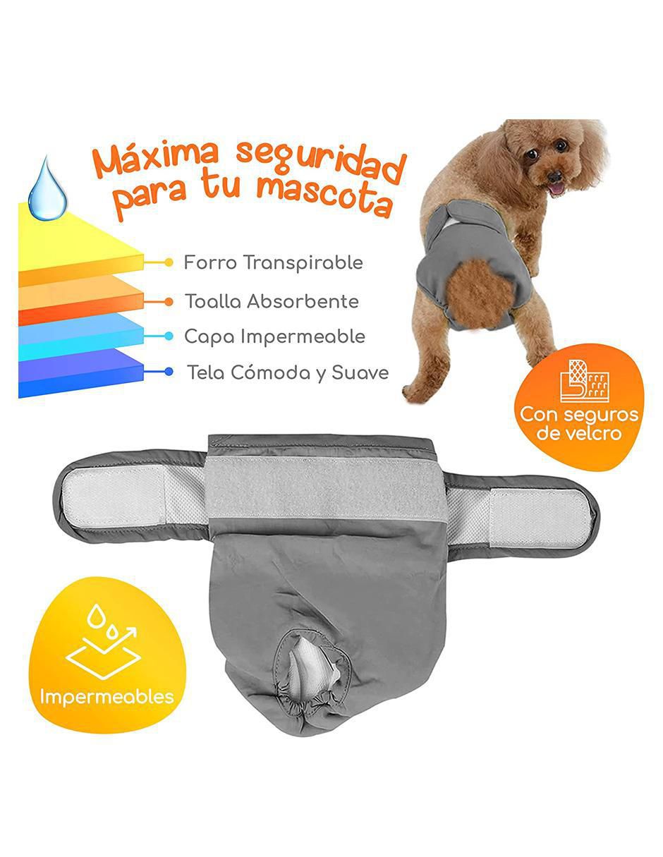 Pañal para perro 4