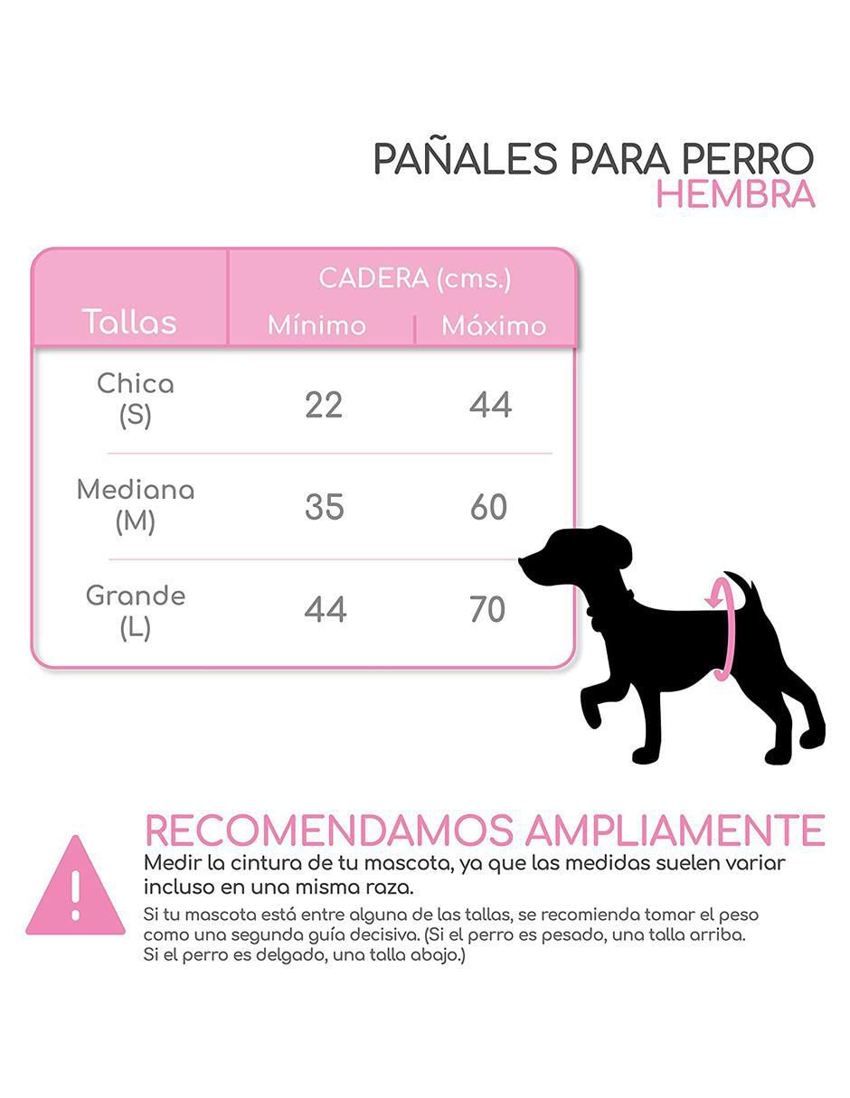 Pañal para perro 5