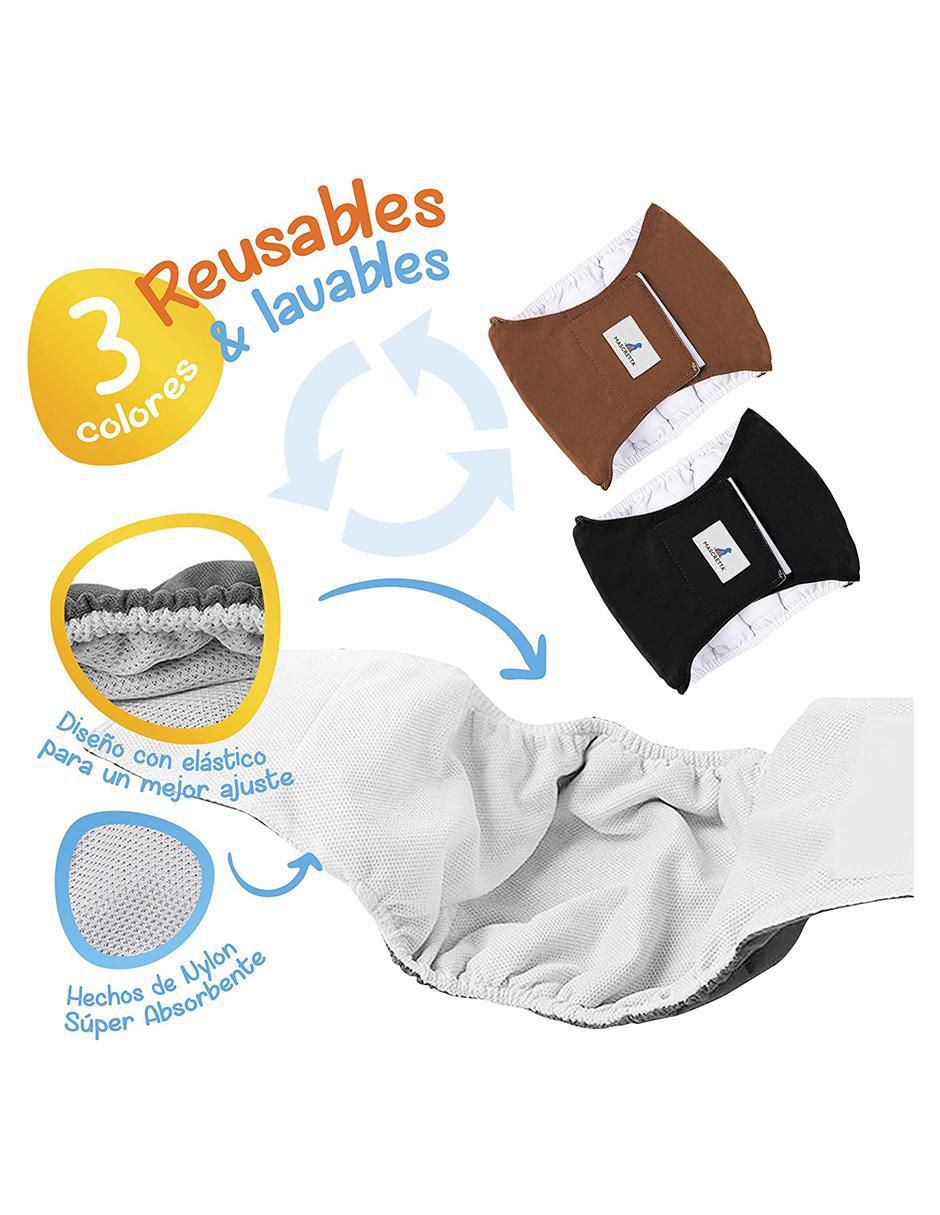 Pañales reusables para perro 4