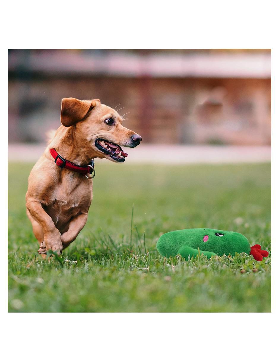 Peluche para perro 8