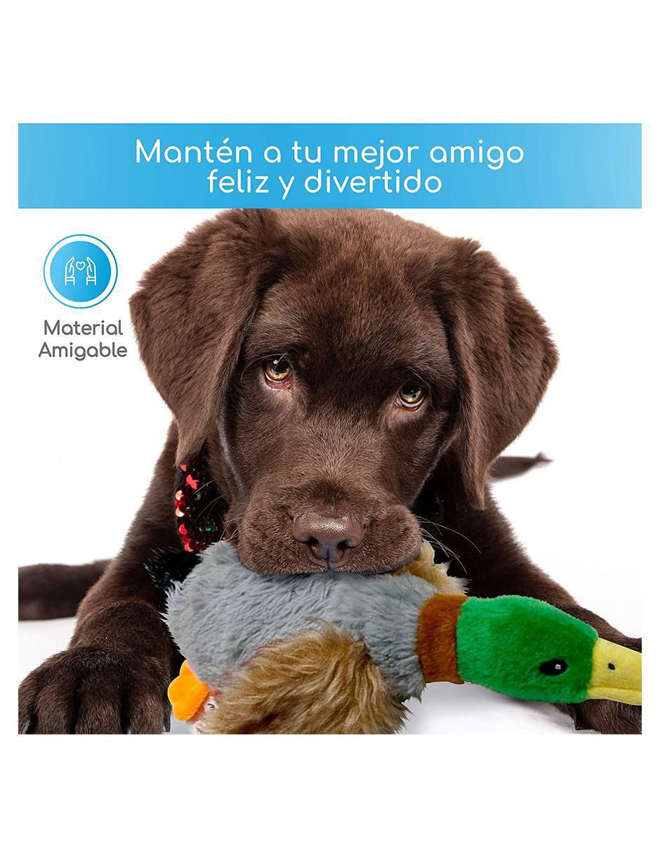 Peluche para perro 6