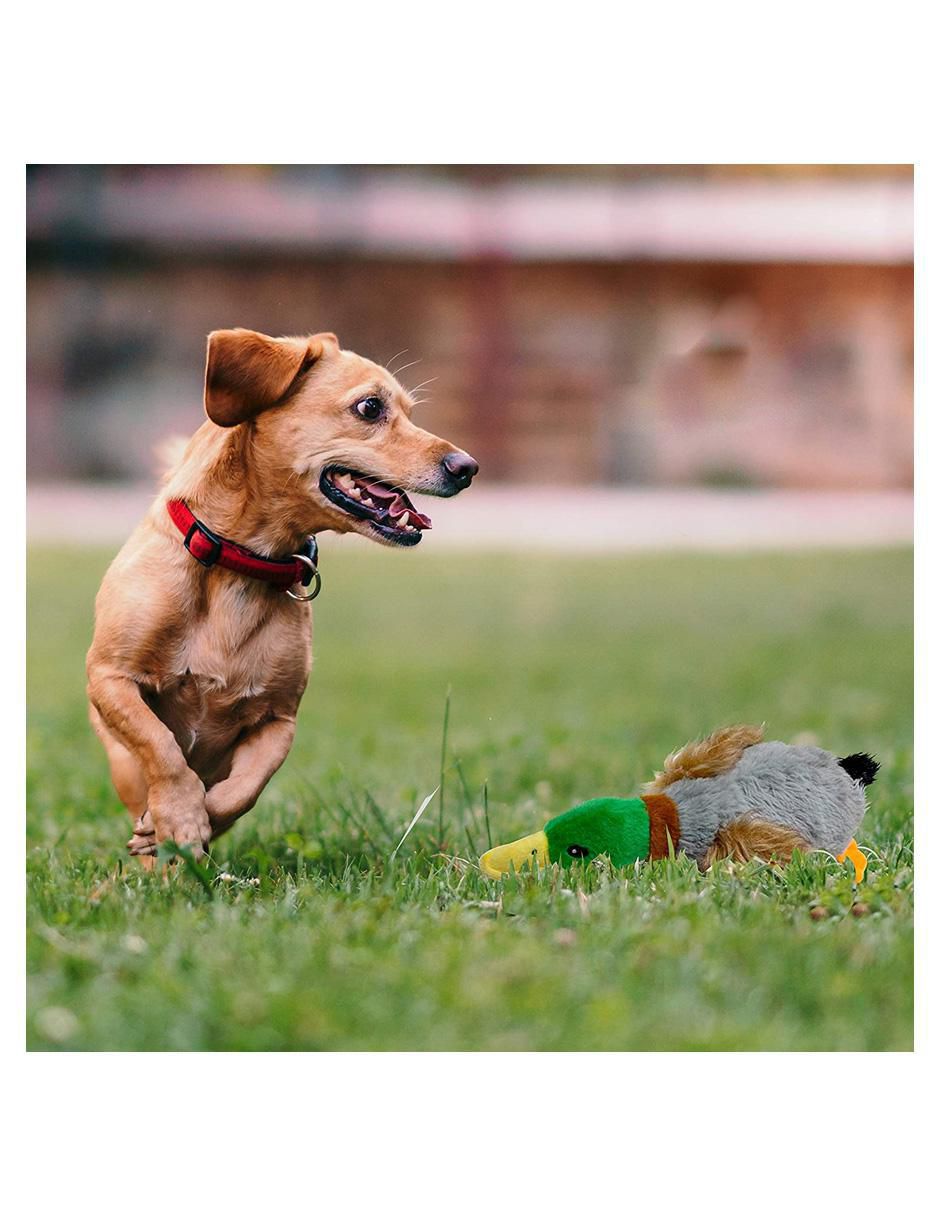 Peluche para perro 8