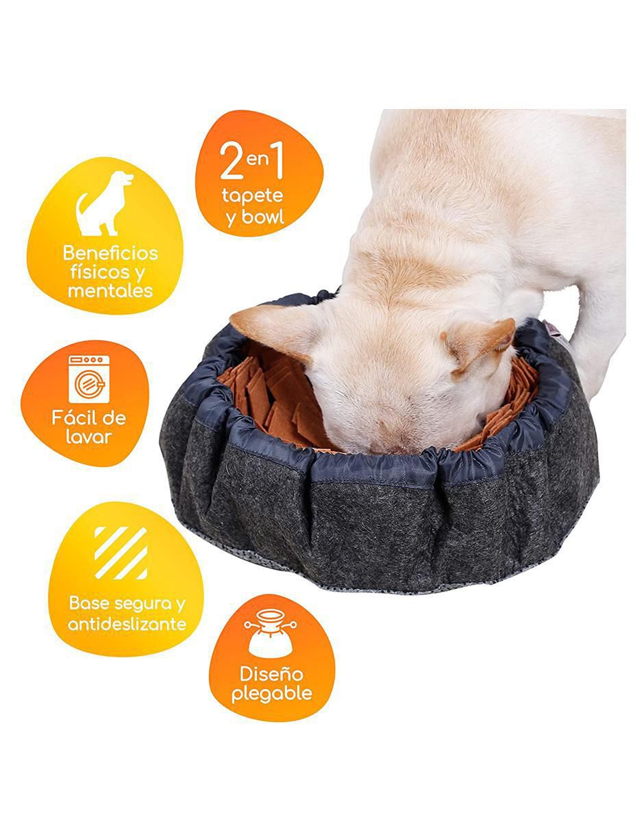 Plato para mascota 2