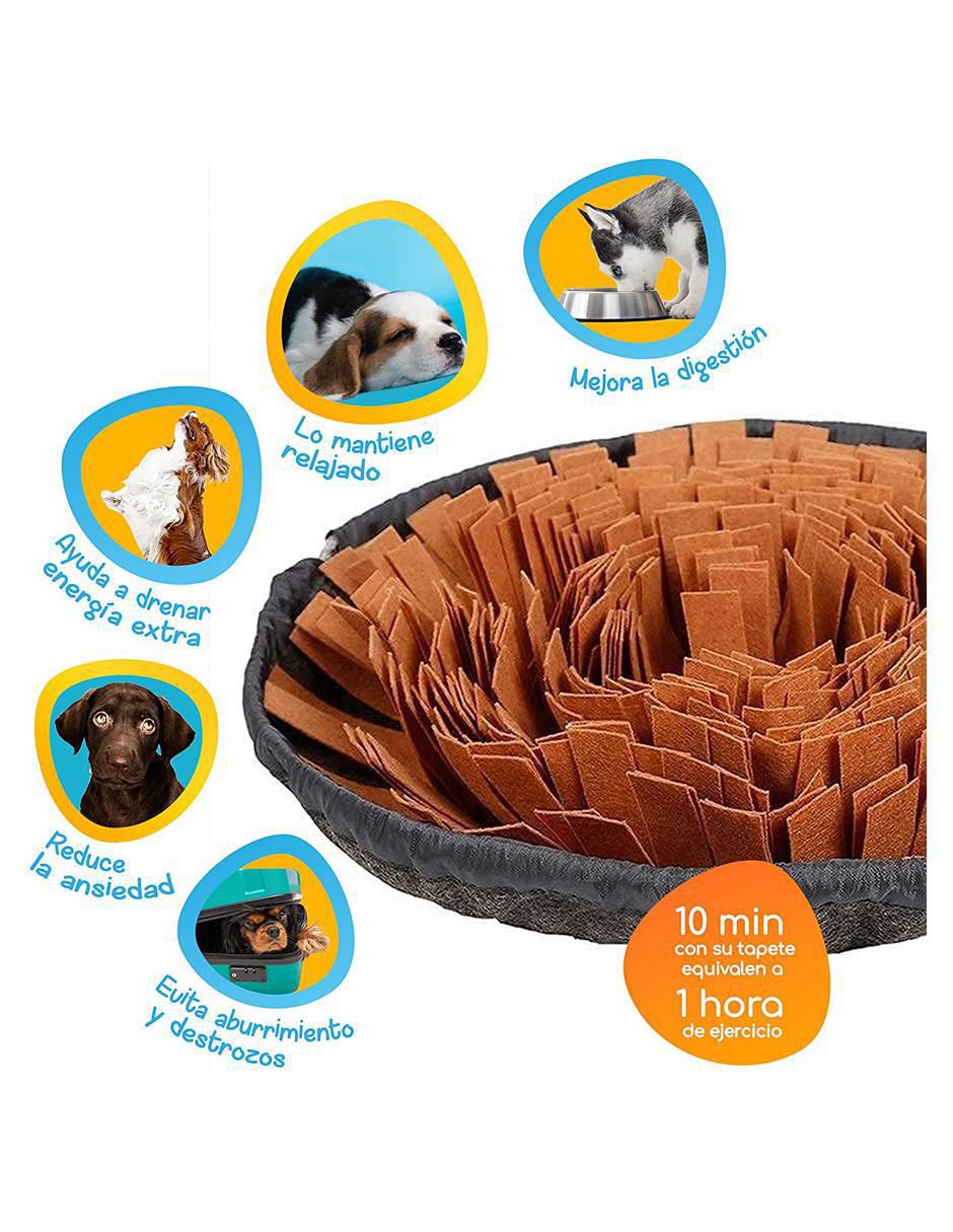 Plato para mascota 3
