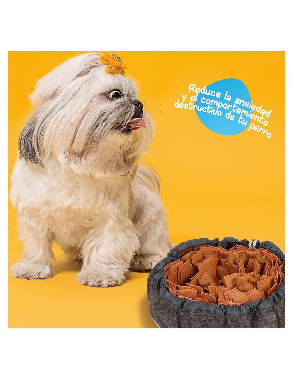 Plato para mascota 5