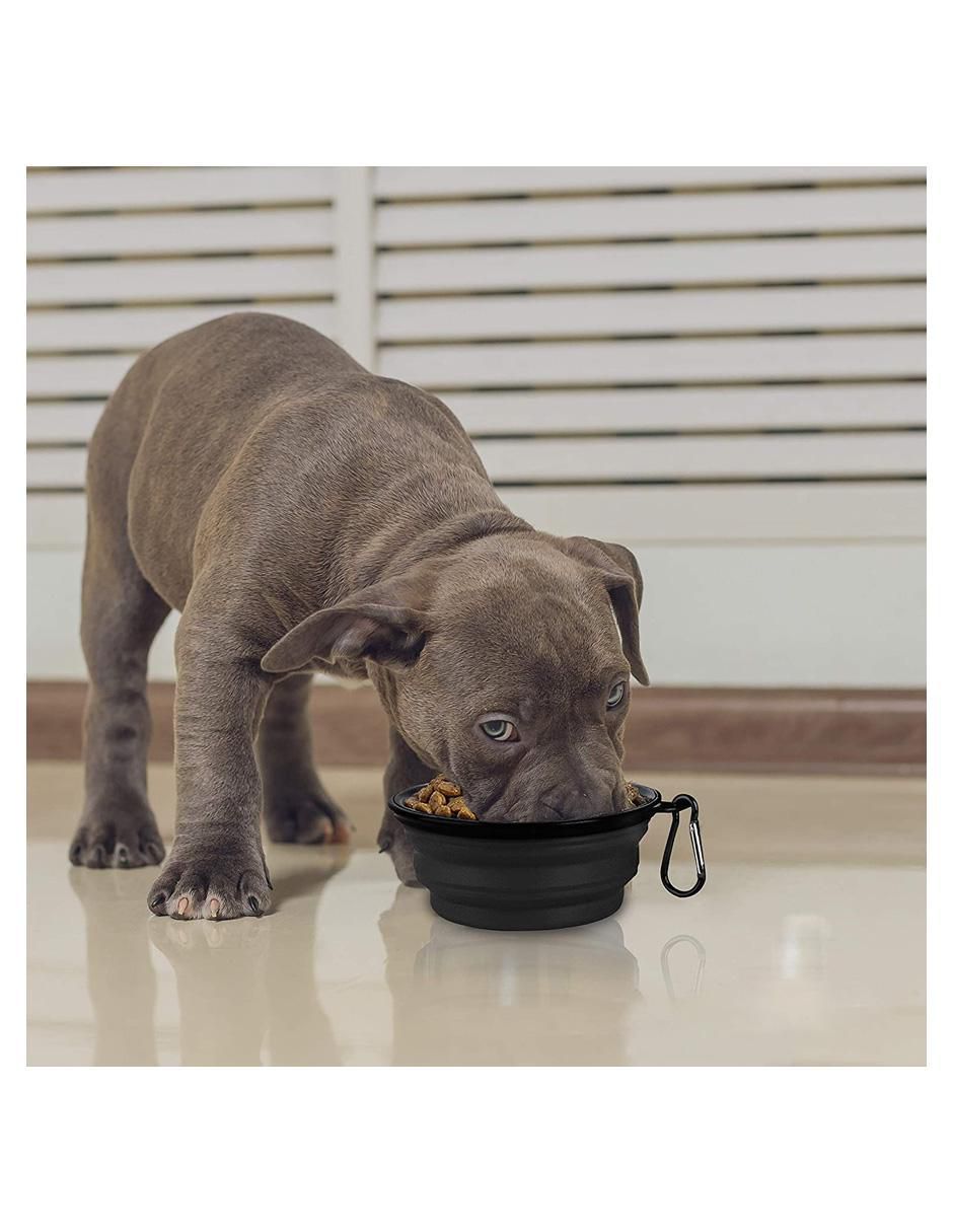 Plato para mascota 7
