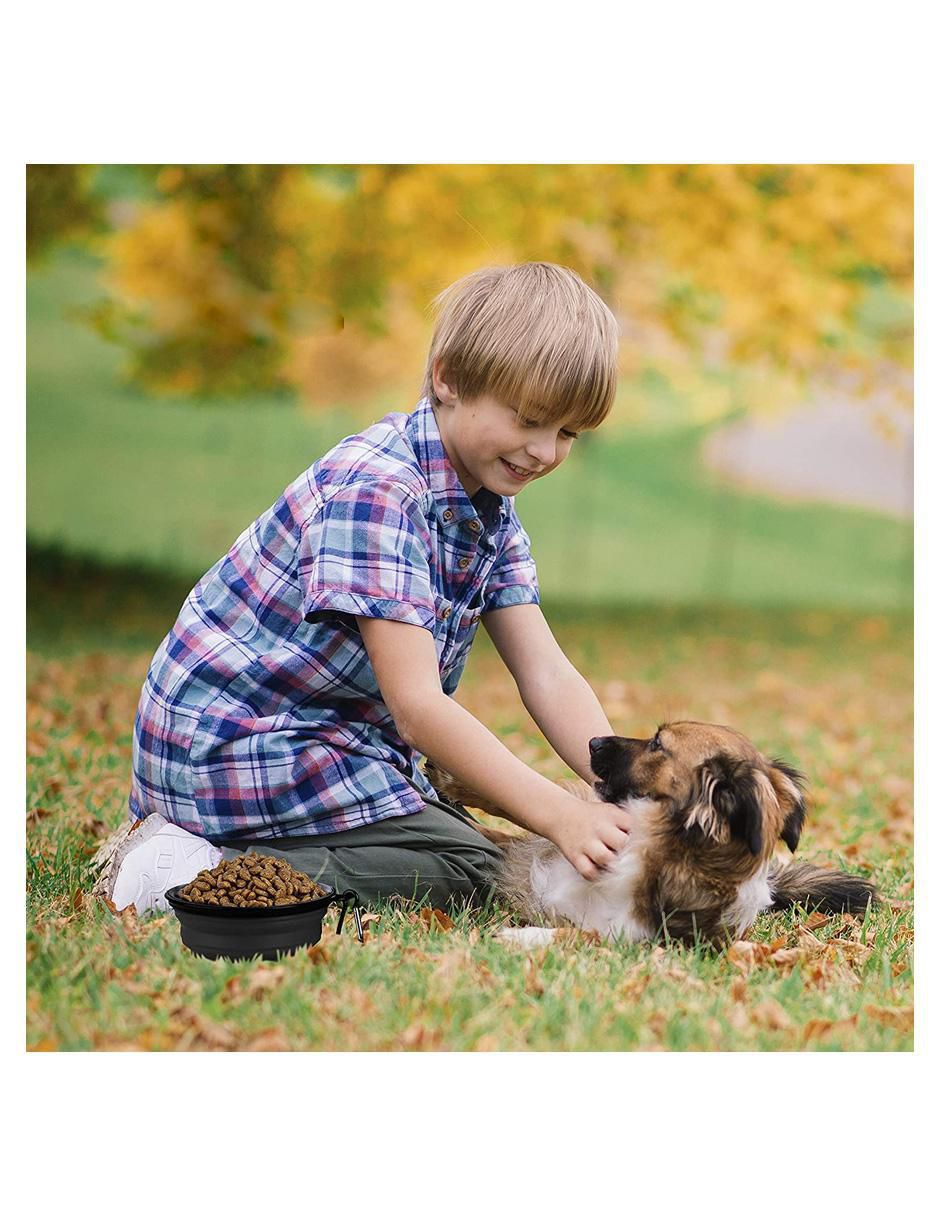 Plato para mascota 8