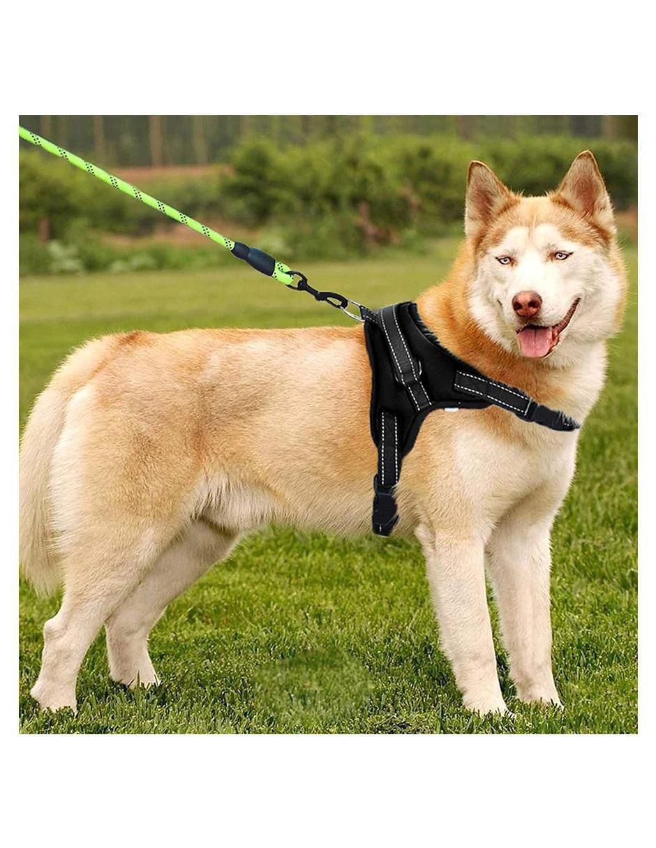 Pechera para perro 8