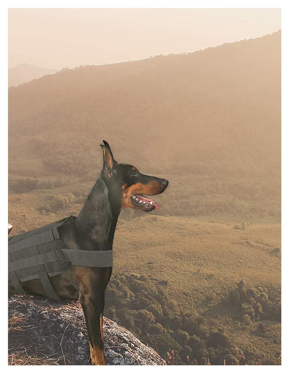 Pechera para perro de nylon 4