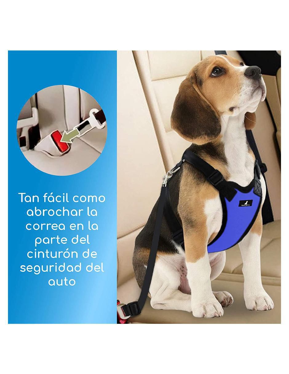 Pechera para perro de tela 3