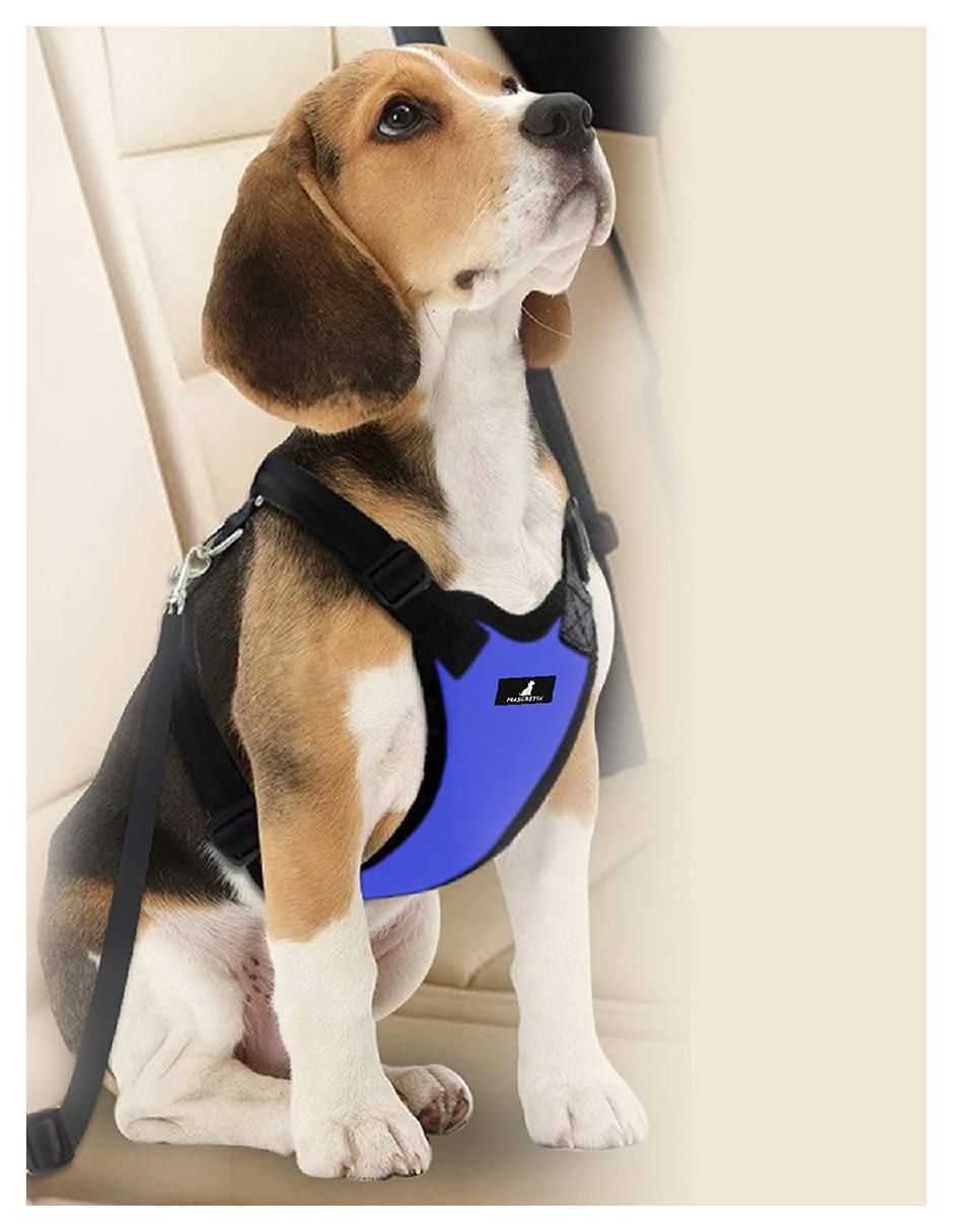 Pechera para perro de tela 6