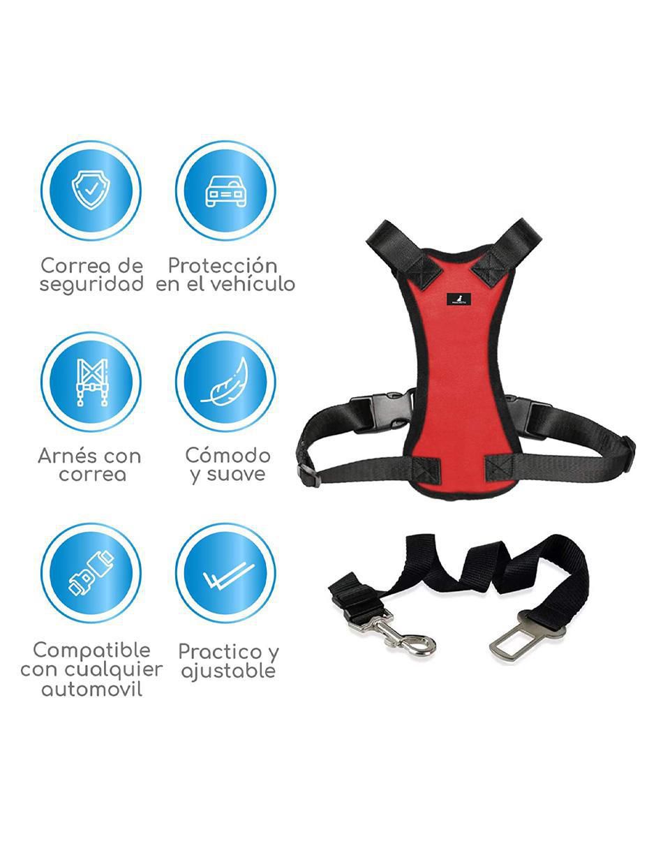 Mascretta mod 01